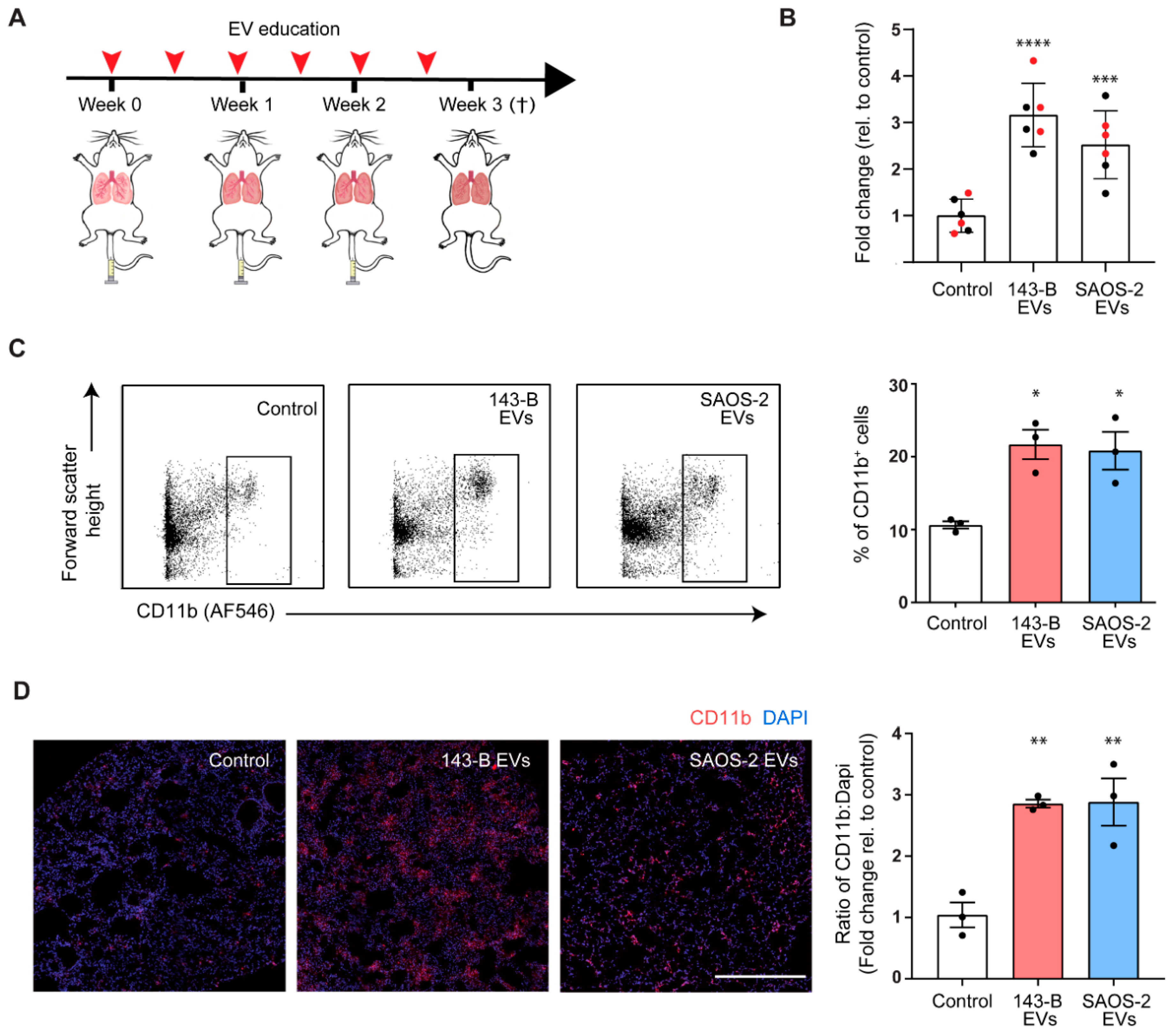 Cancers 12 03457 g003