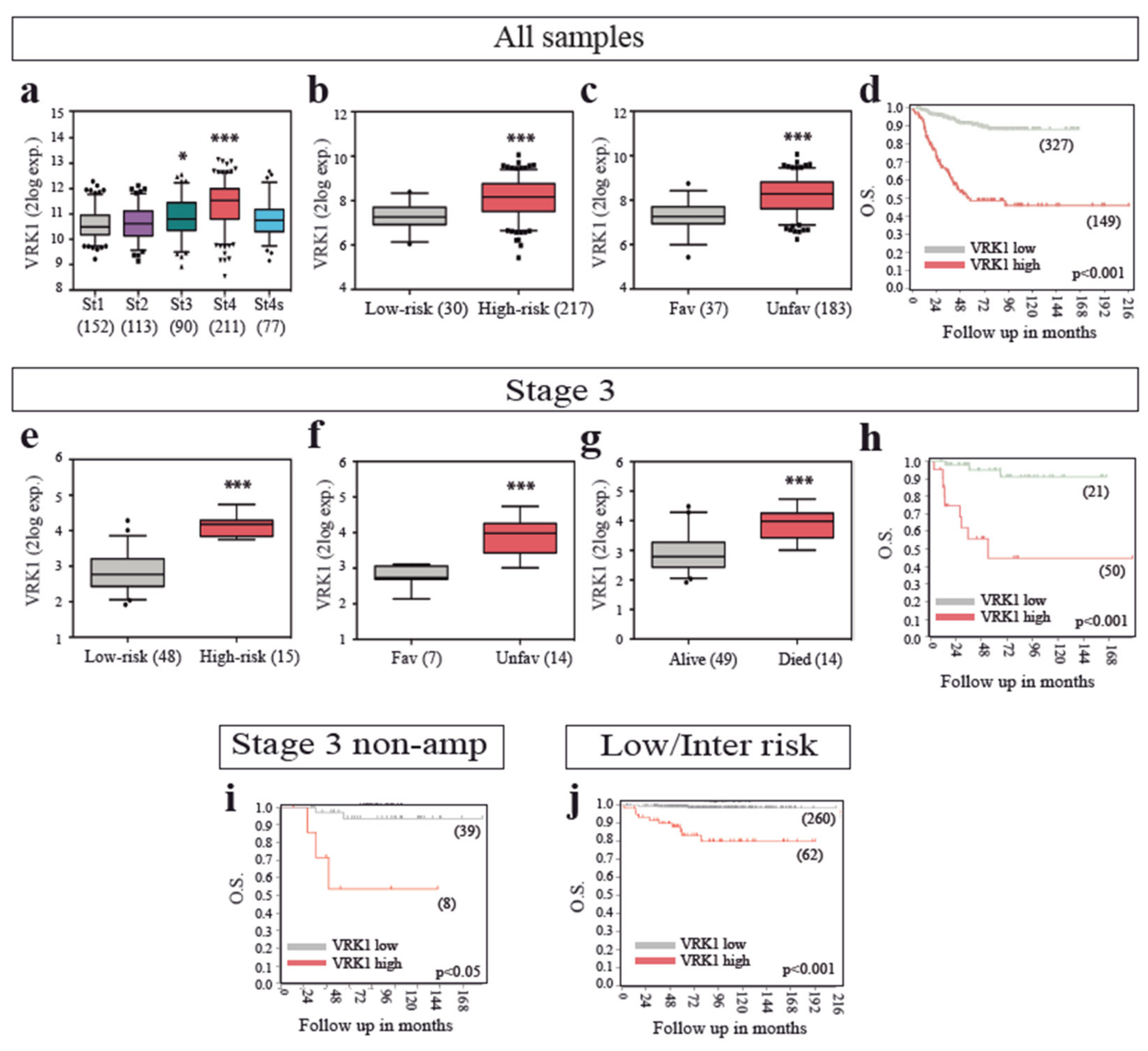 Cancers 12 03465 g001