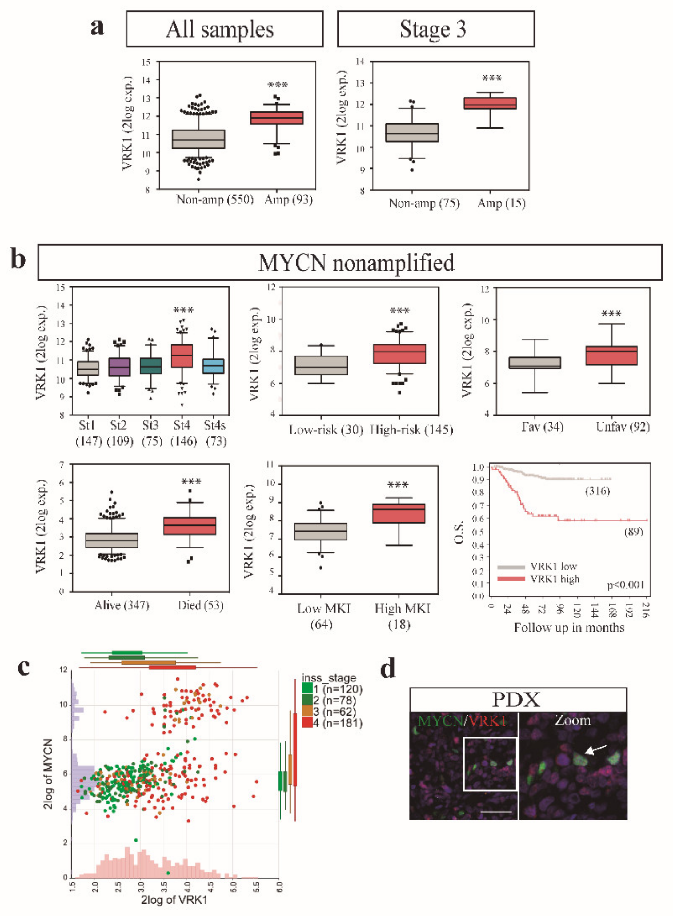 Cancers 12 03465 g005