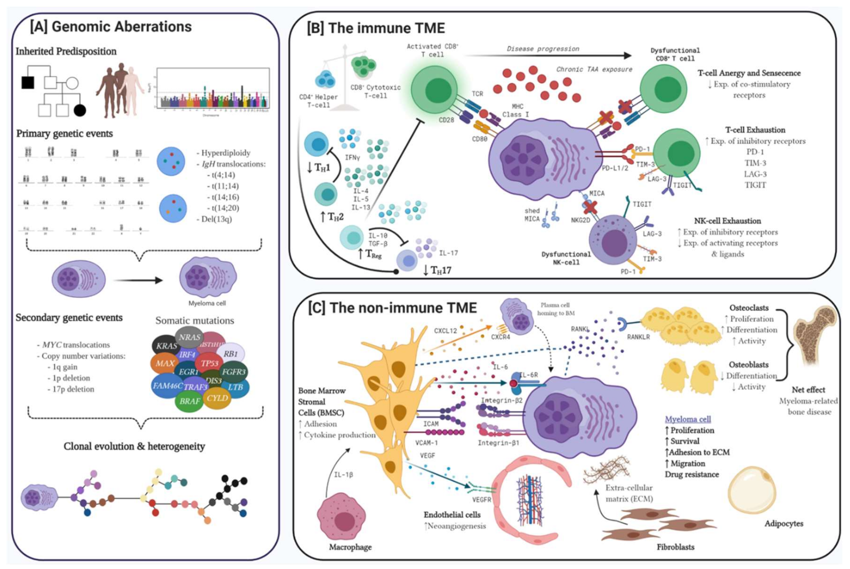 Cancers 12 03488 g001