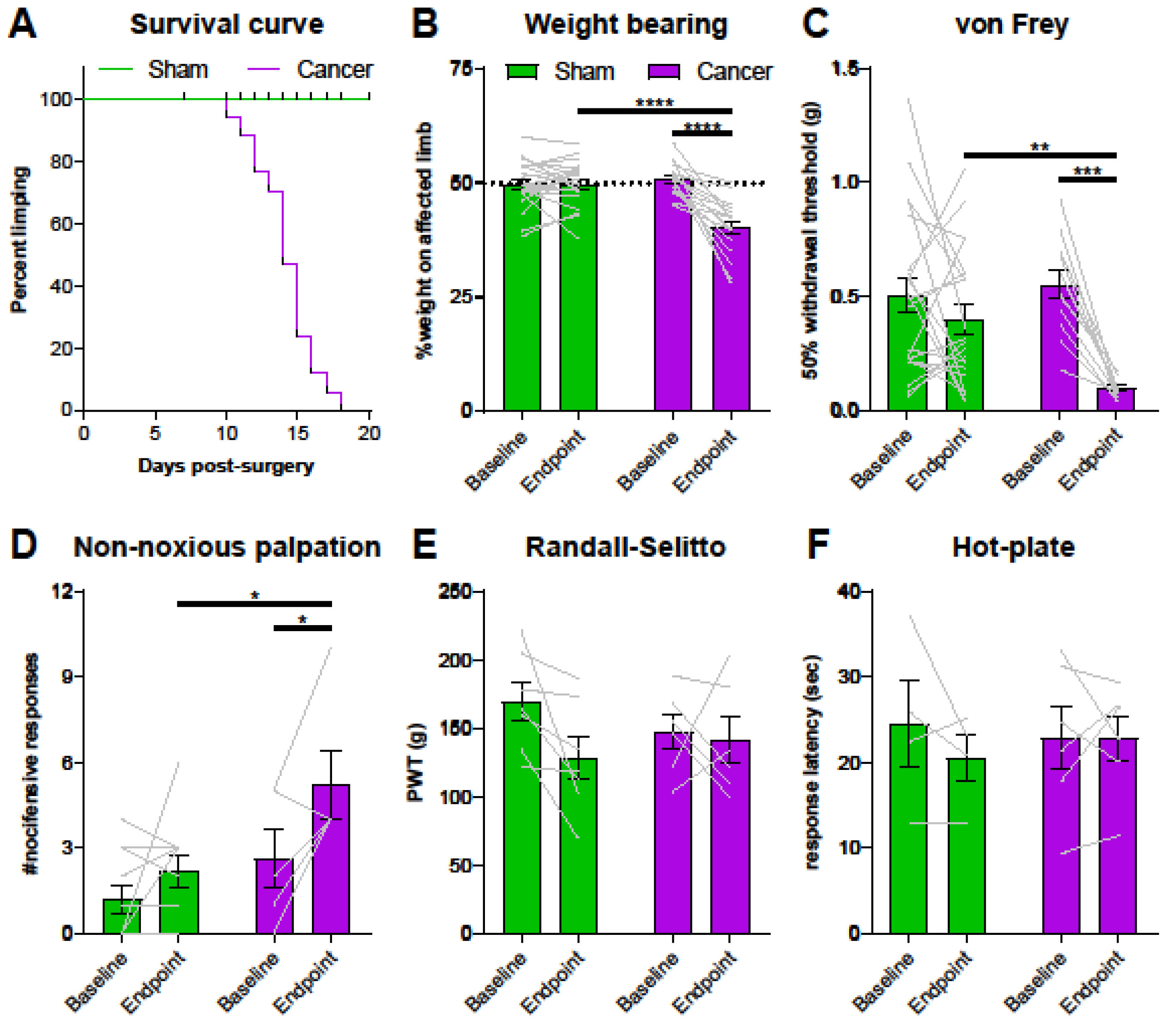Cancers 12 03491 g002