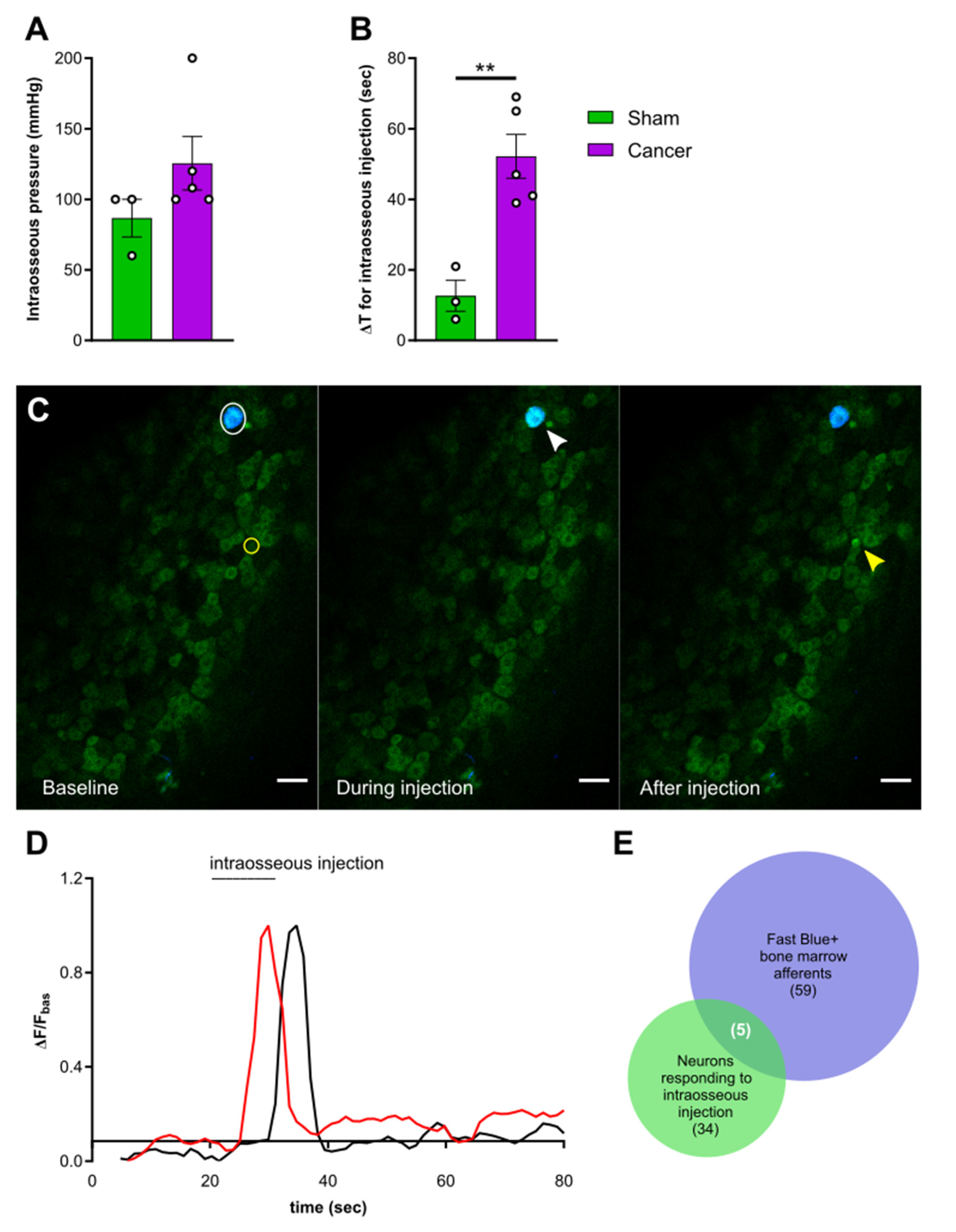 Cancers 12 03491 g005