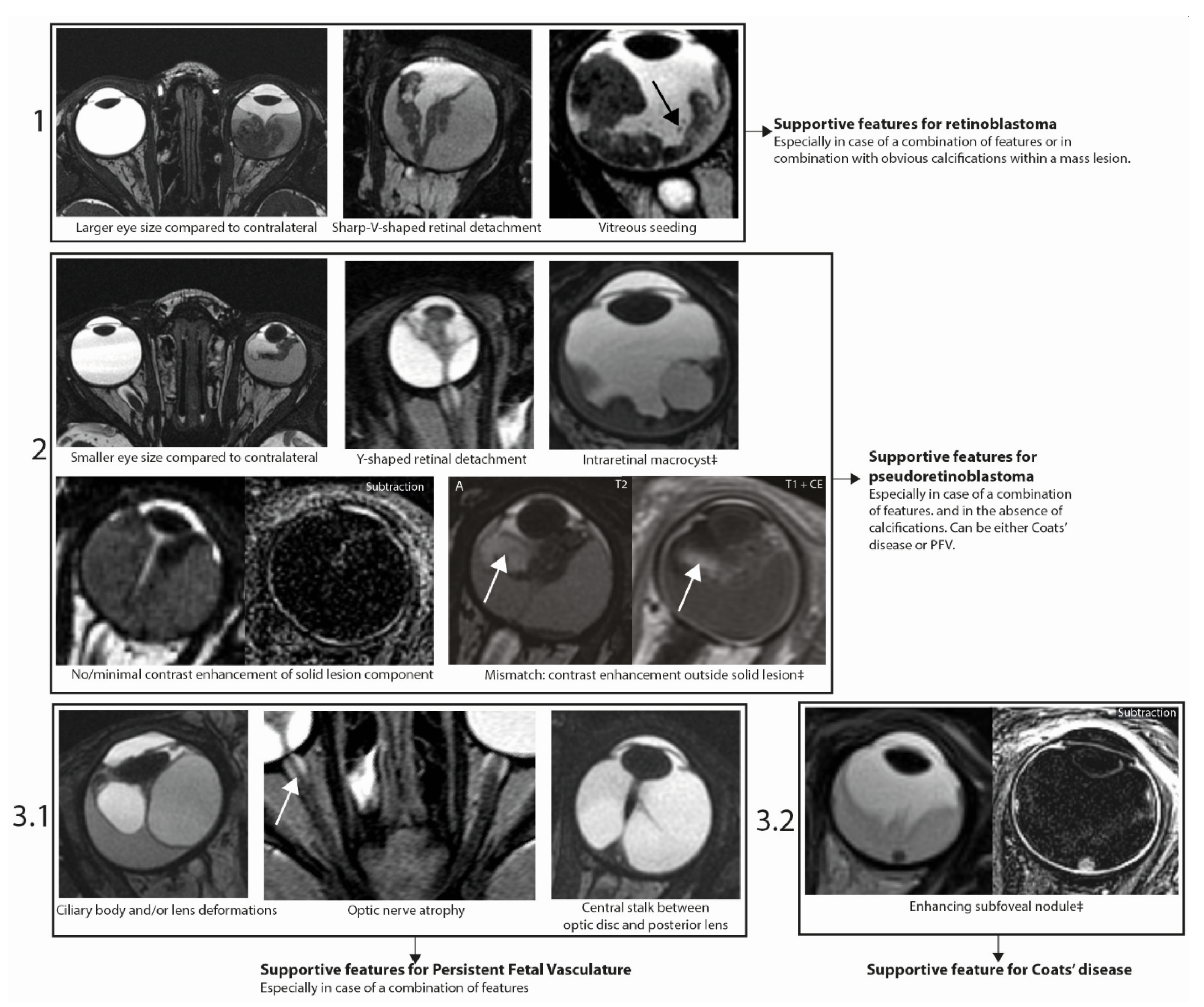 Cancers 12 03592 g004