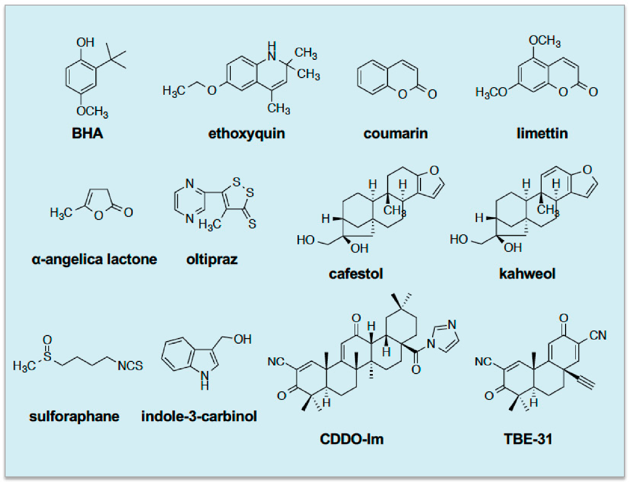 Cancers 12 03609 g001