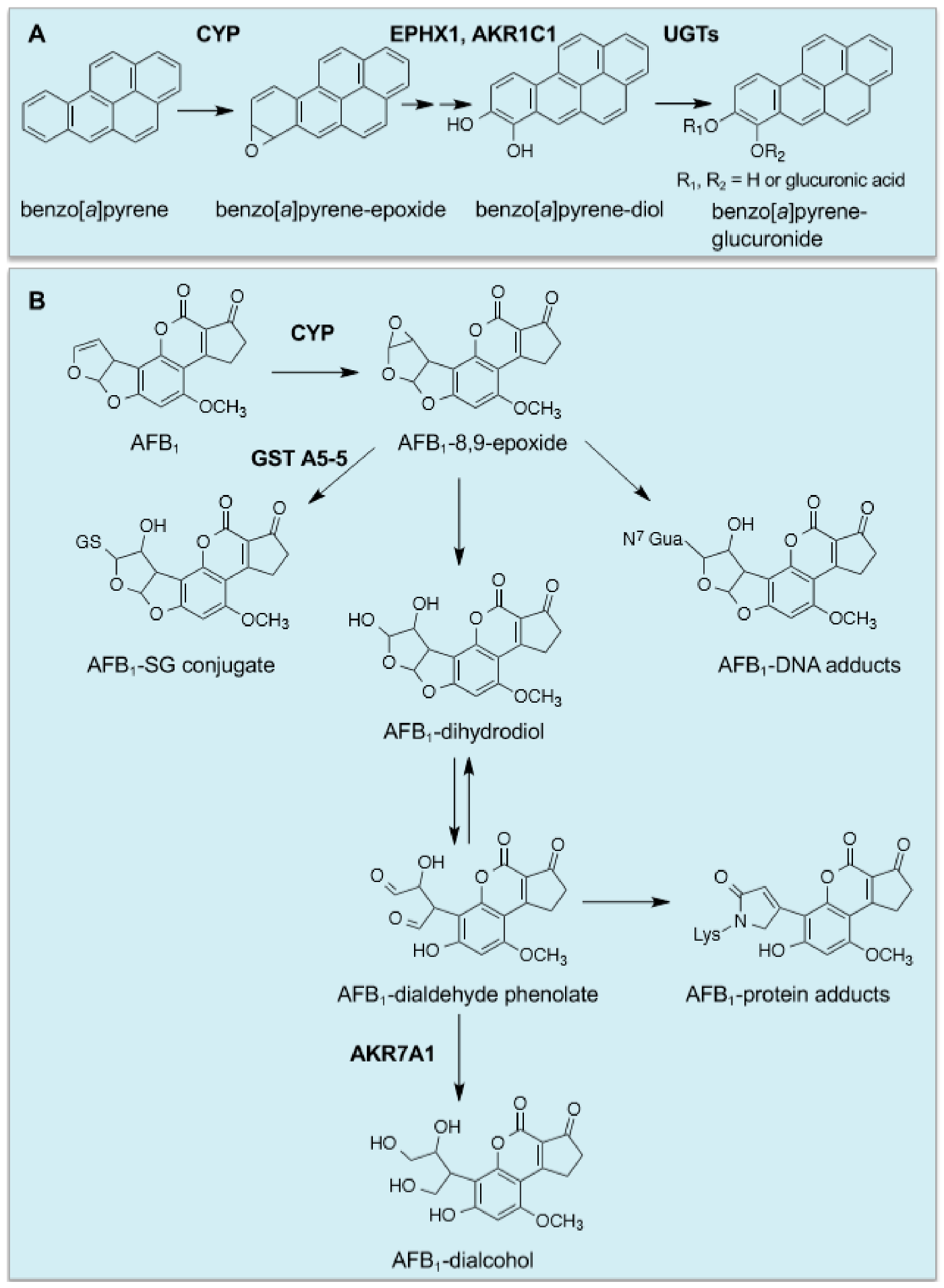 Cancers 12 03609 g002