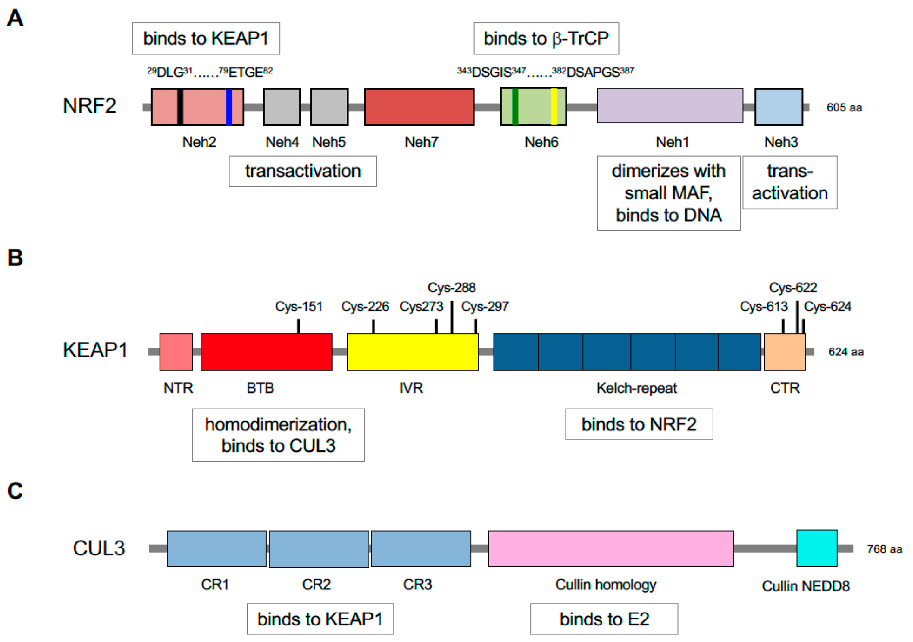 Cancers 12 03609 g003