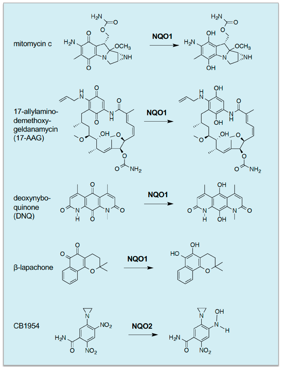 Cancers 12 03609 g006
