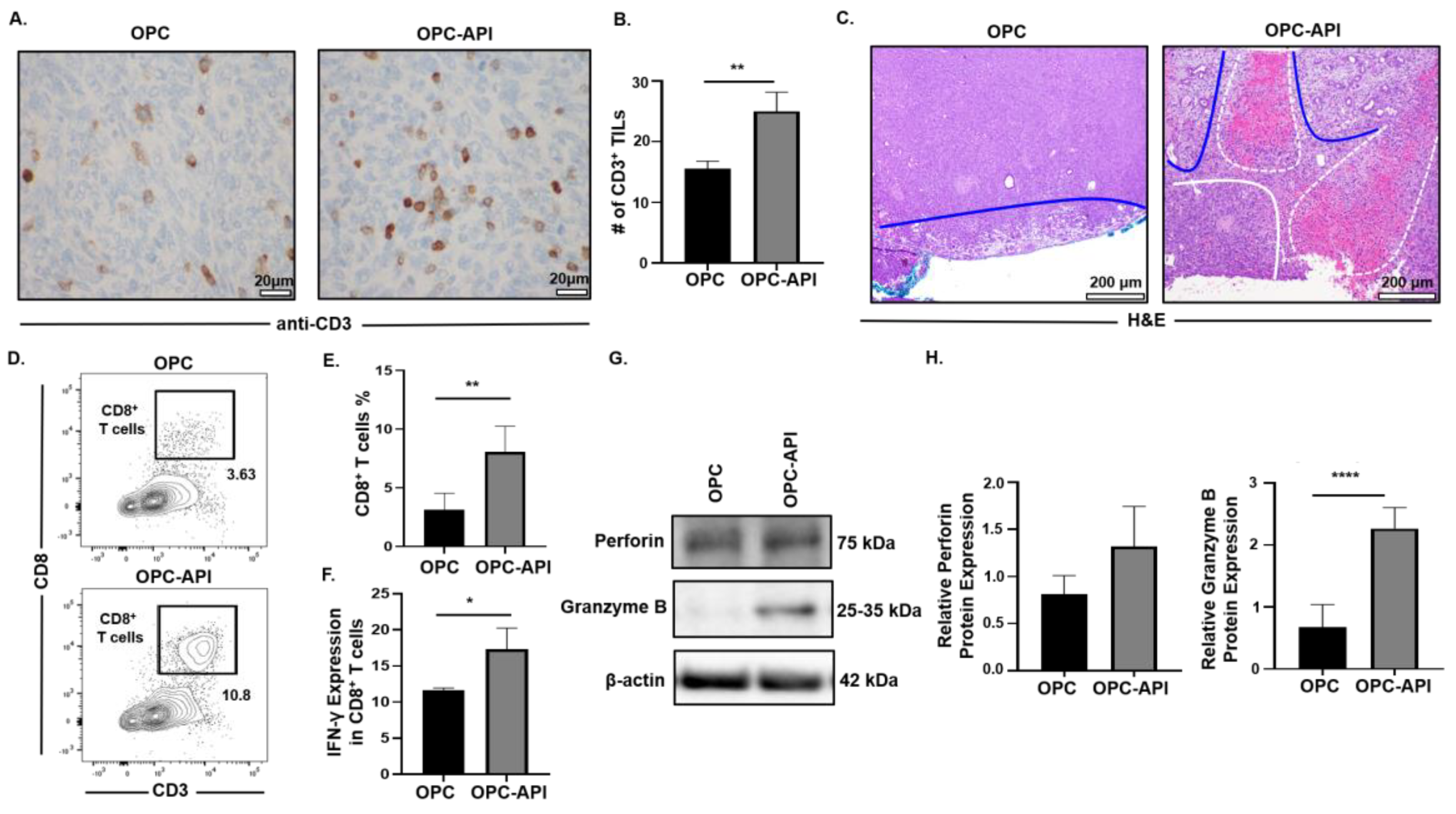 Cancers 12 03631 g007
