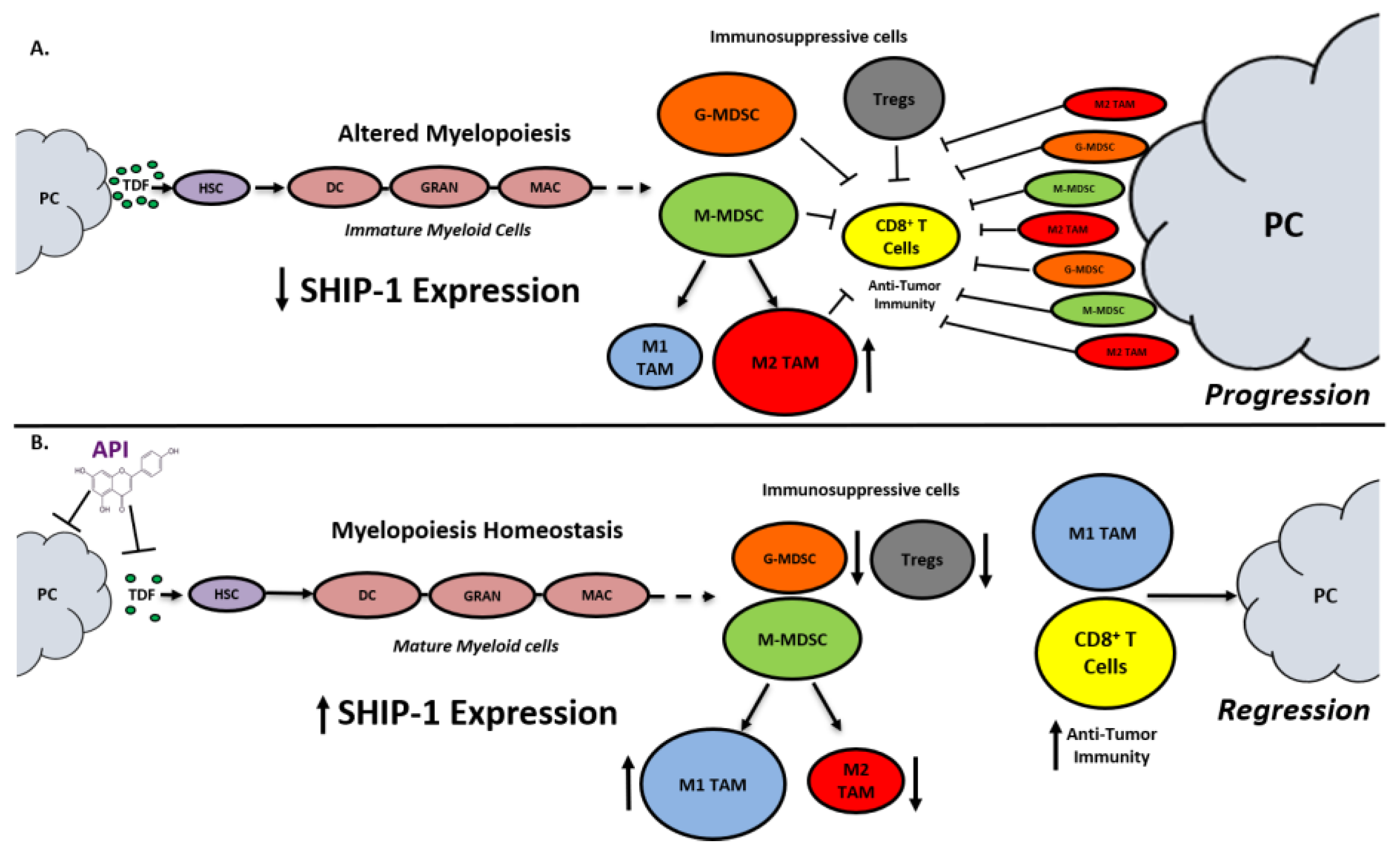 Cancers 12 03631 g008