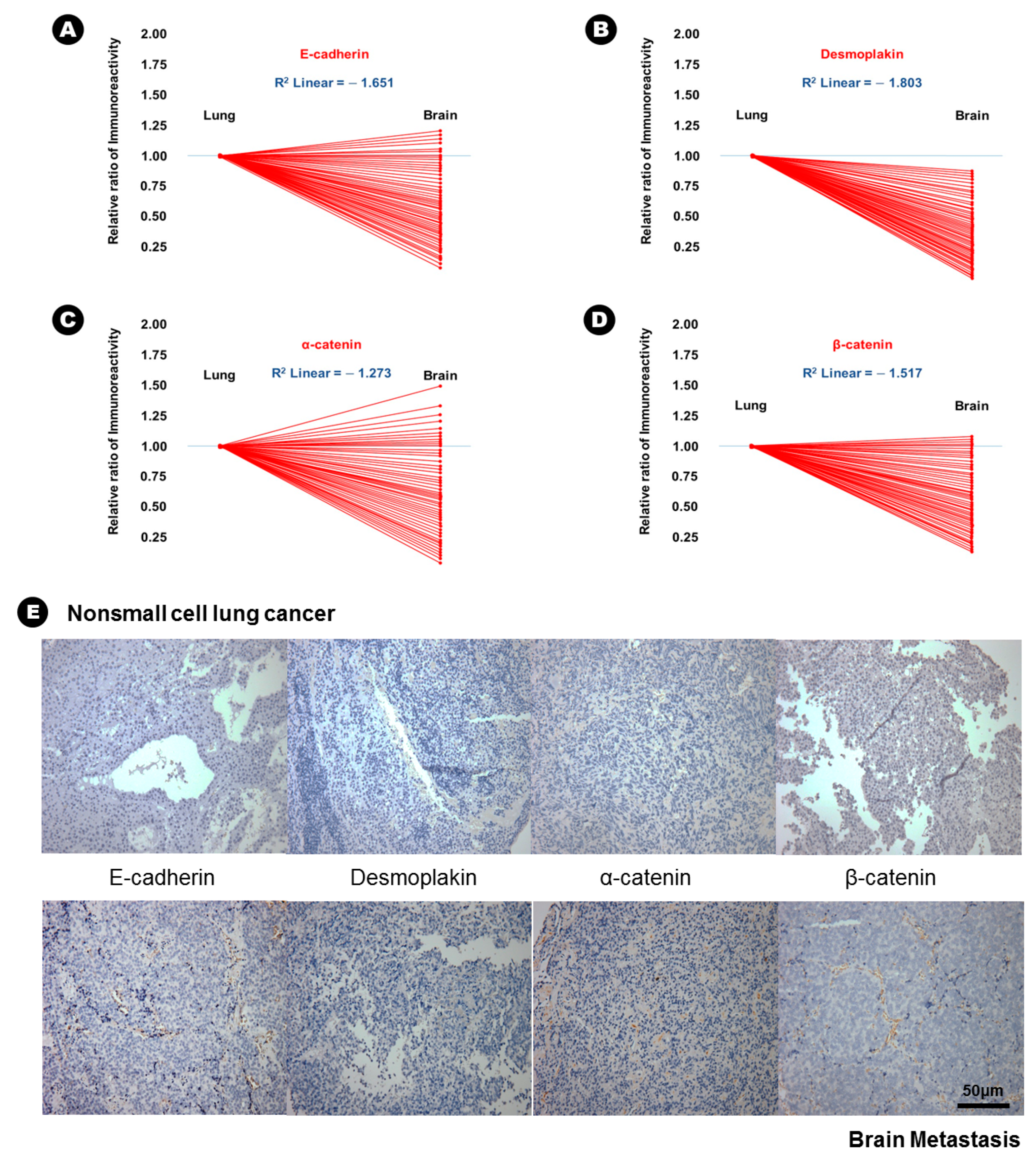 Cancers 12 03632 g001