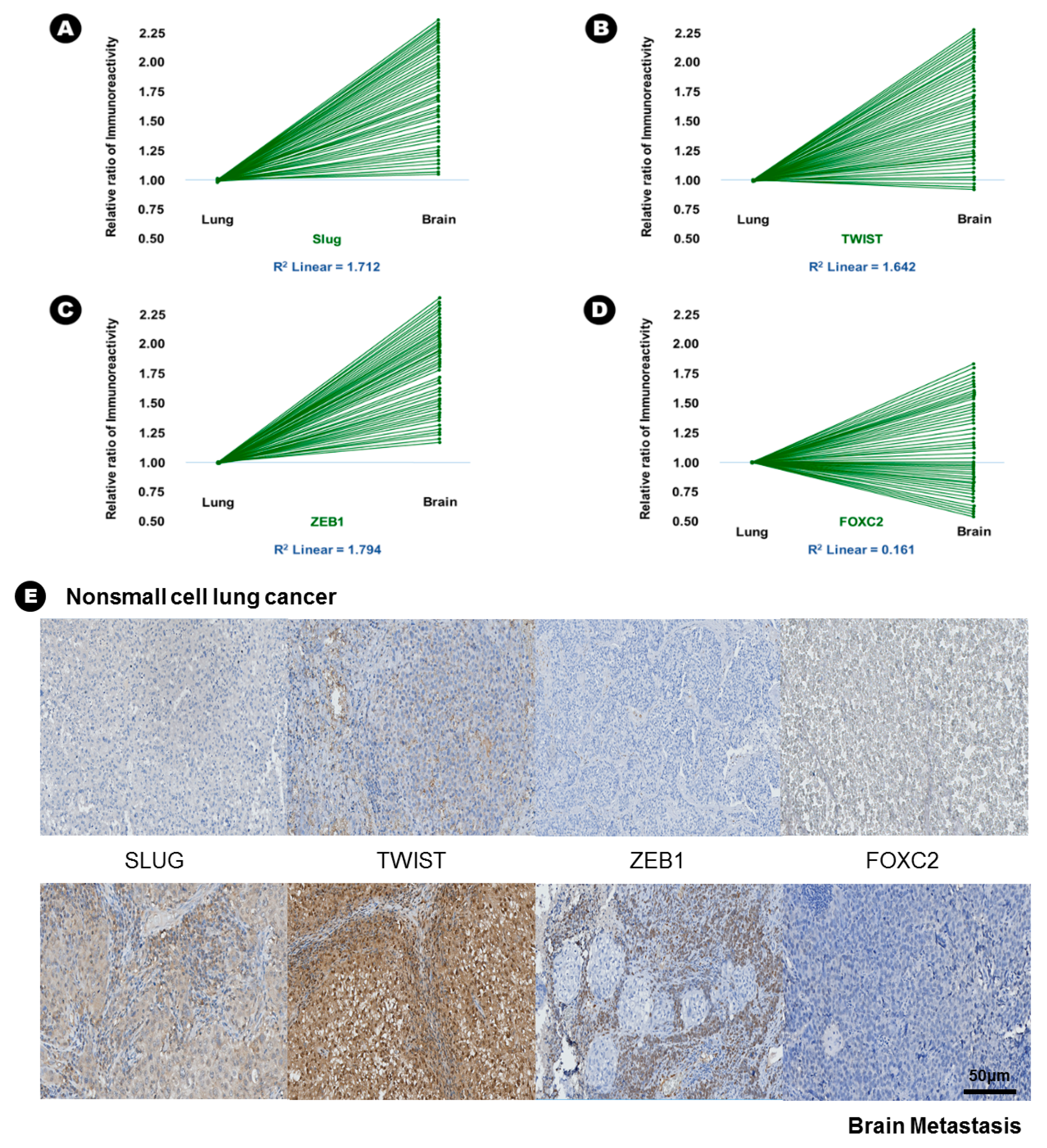 Cancers 12 03632 g003