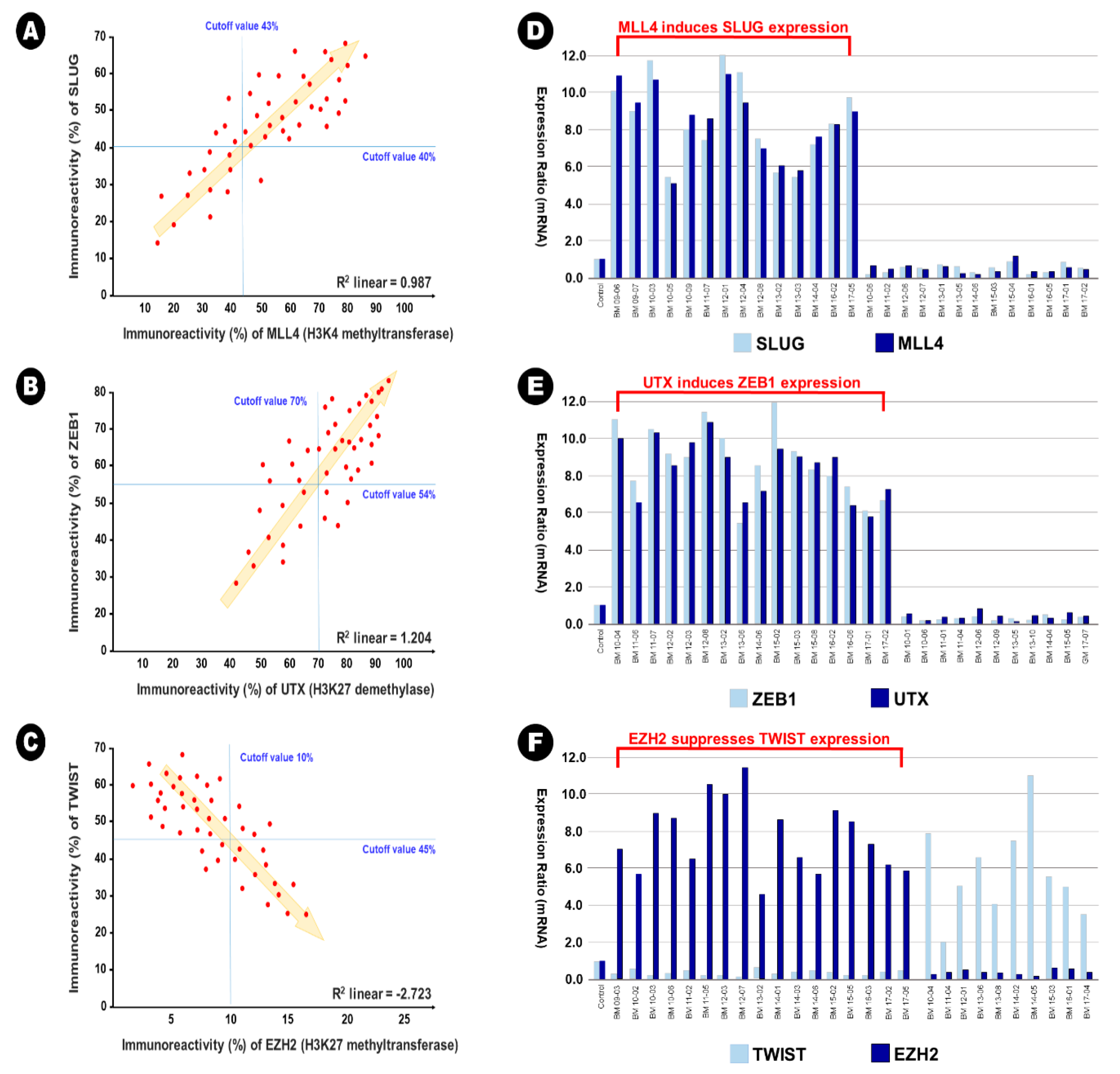 Cancers 12 03632 g004
