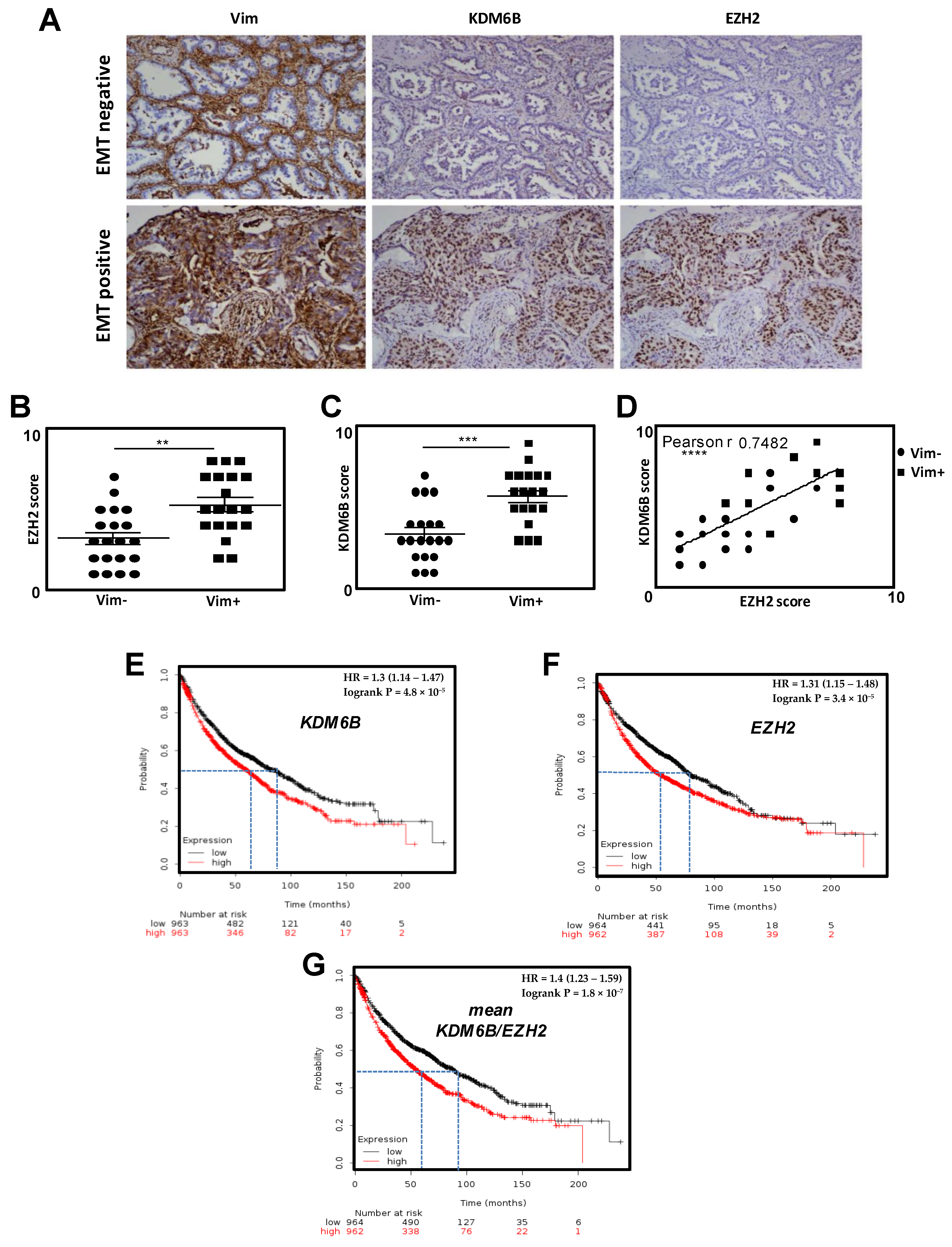 Cancers 12 03649 g001
