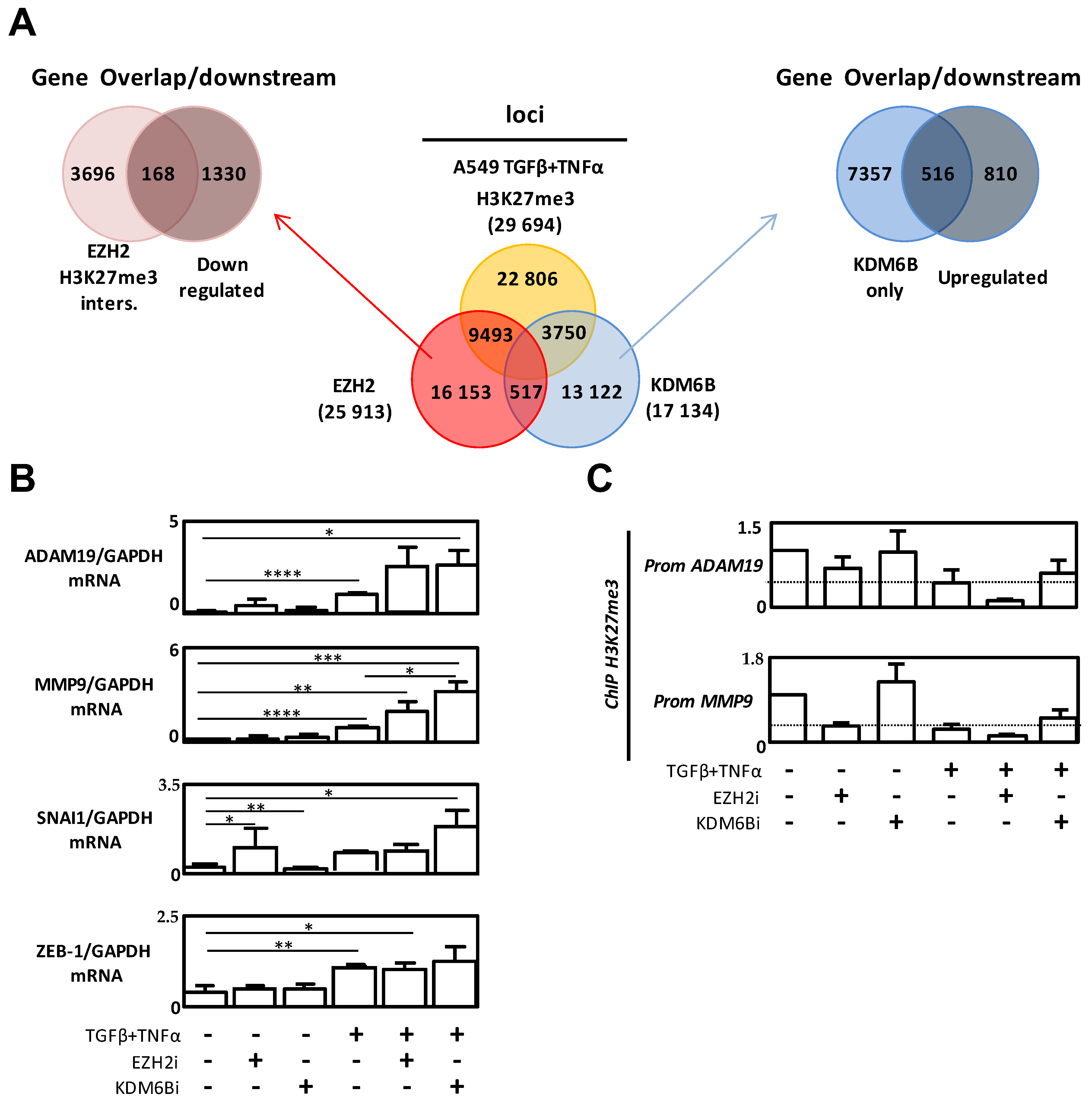 Cancers 12 03649 g004