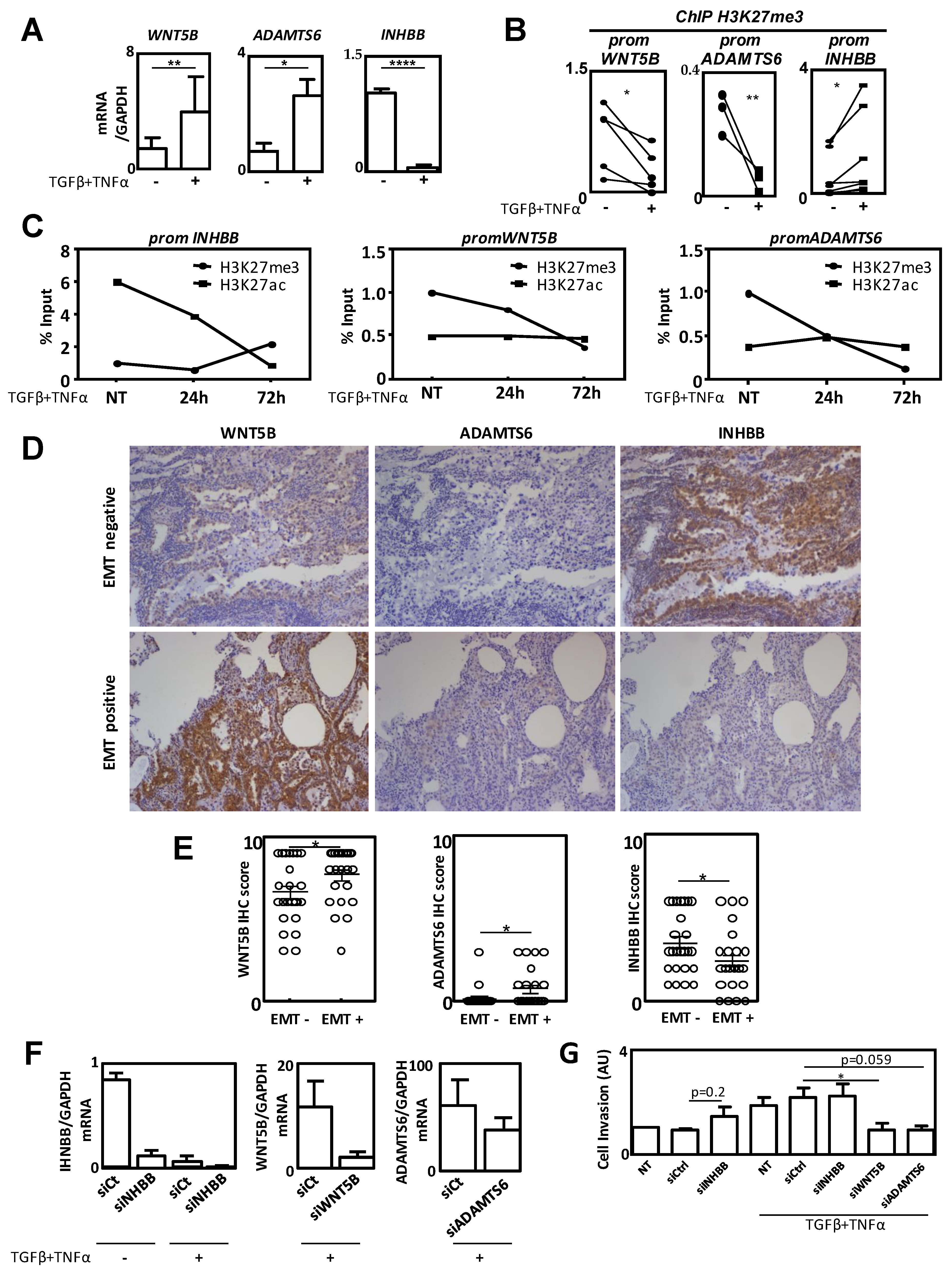 Cancers 12 03649 g005