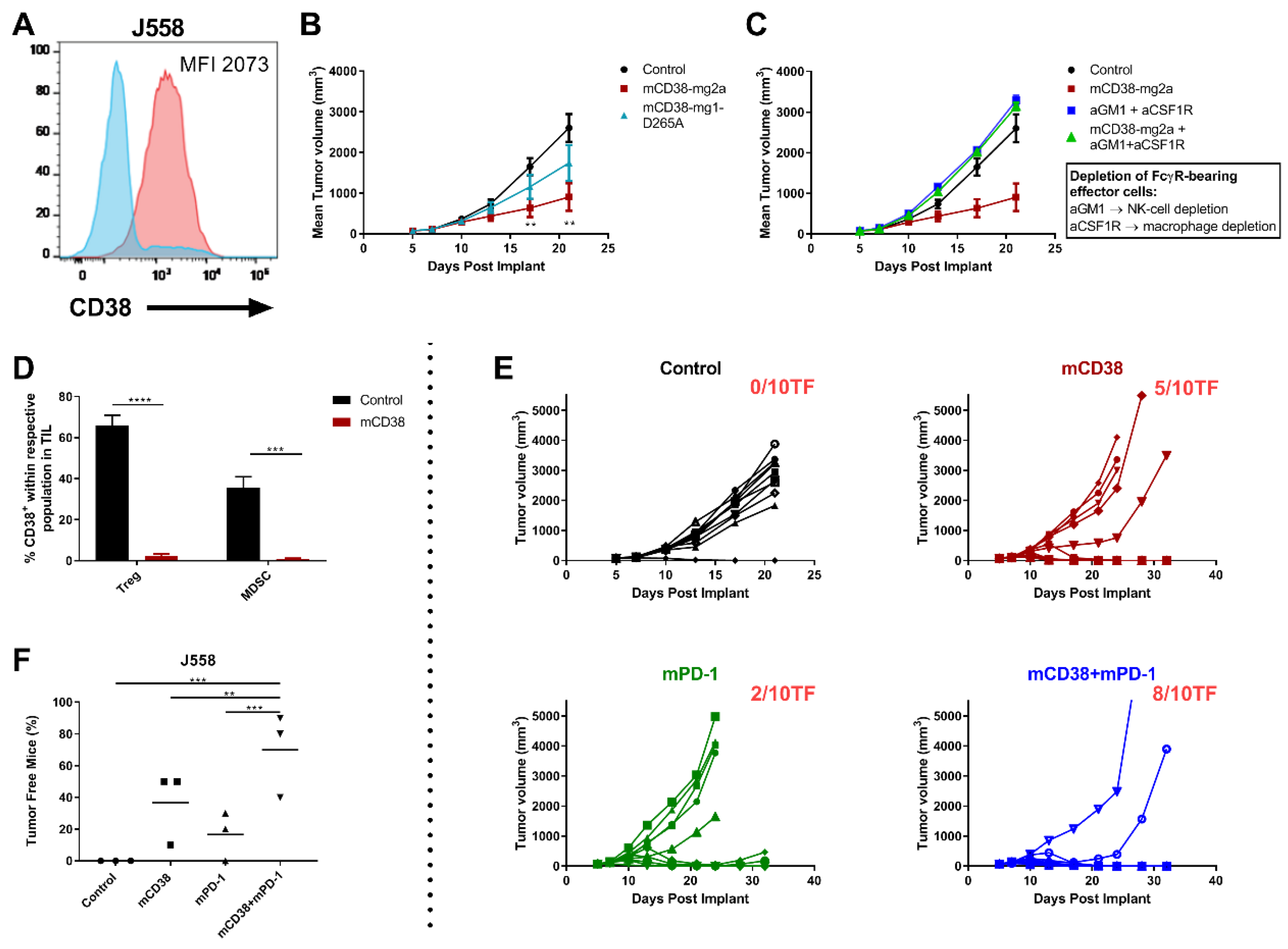 Cancers 12 03713 g004