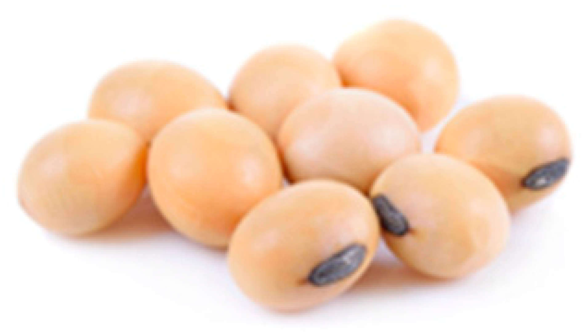 Cancers 12 03714 i002