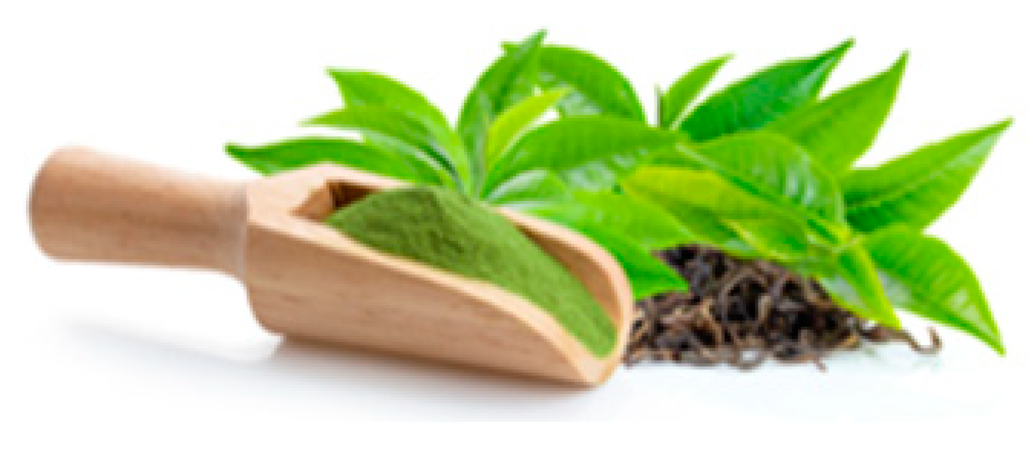 Cancers 12 03714 i004