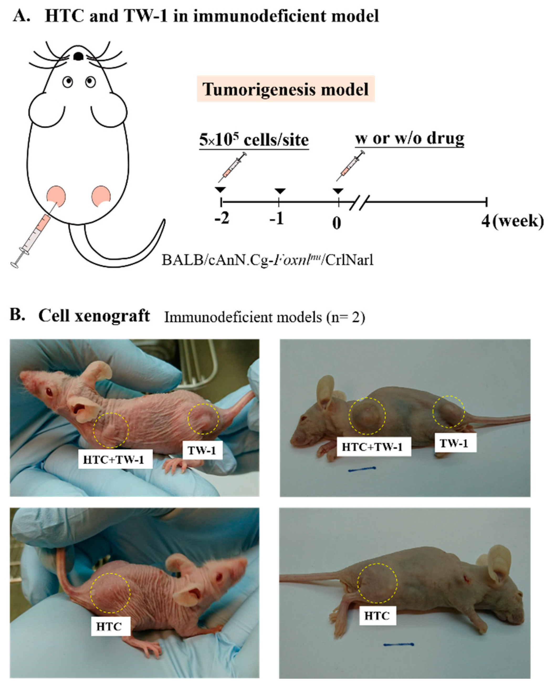 Cancers 12 03721 g002