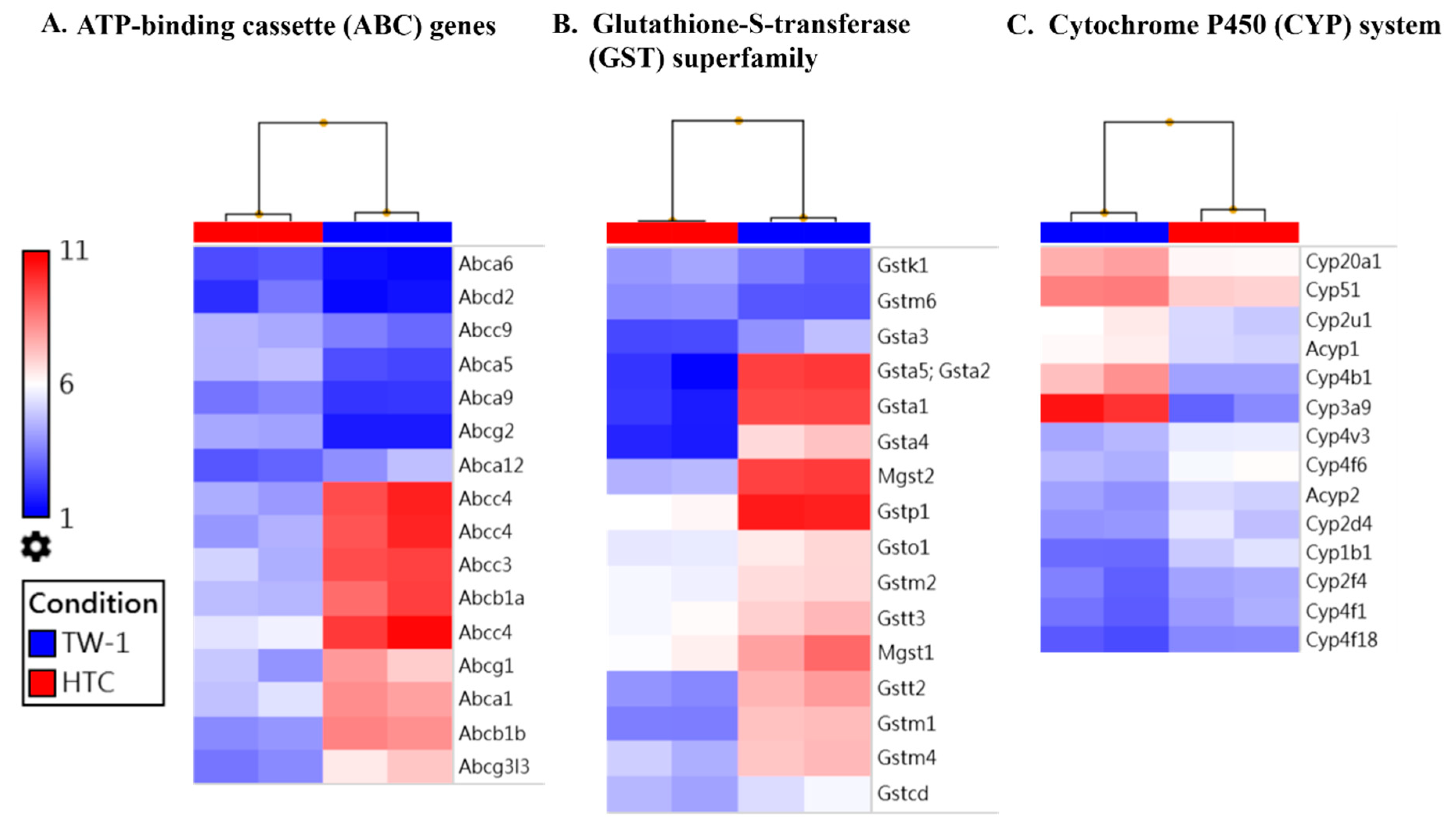 Cancers 12 03721 g003