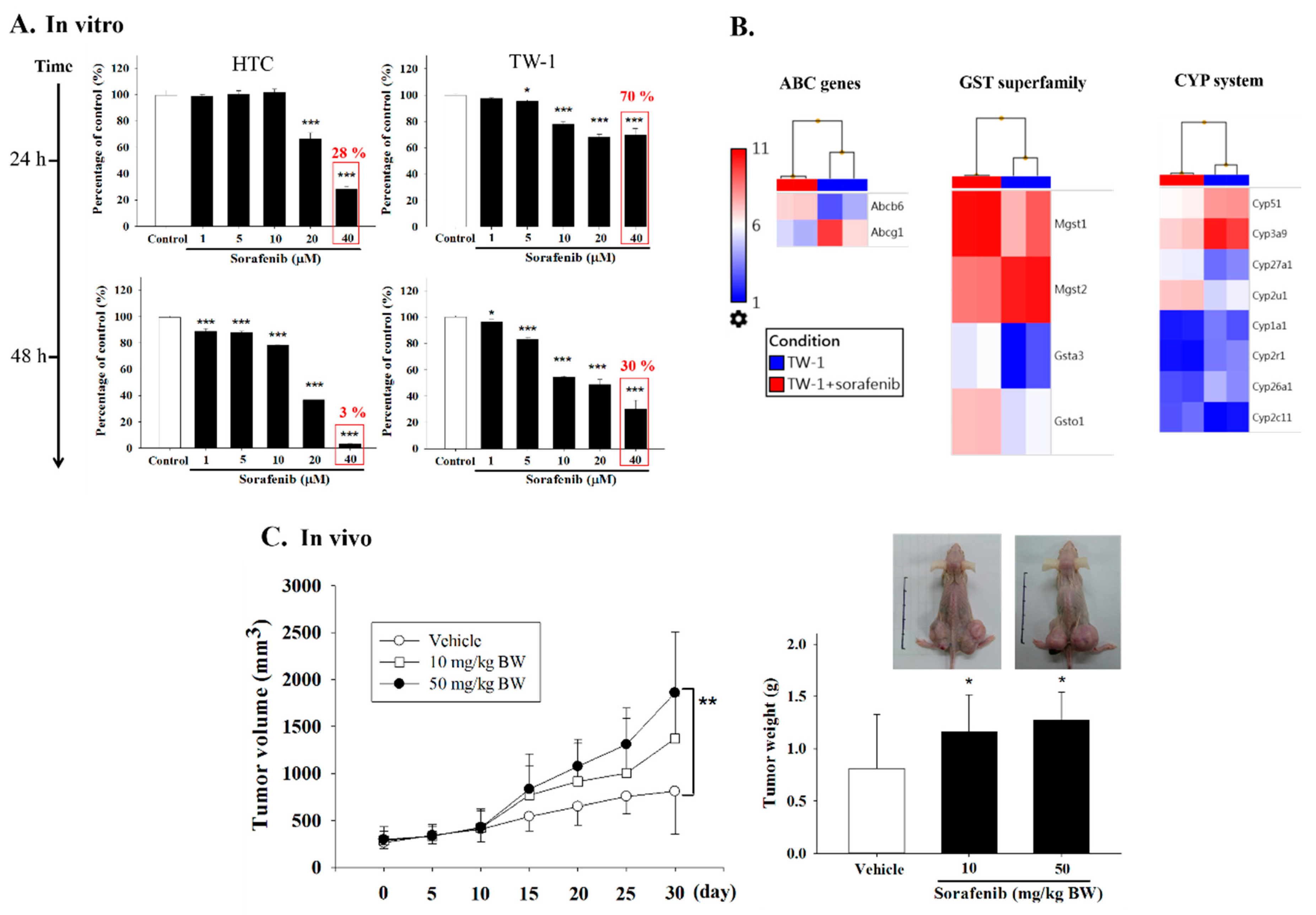 Cancers 12 03721 g004