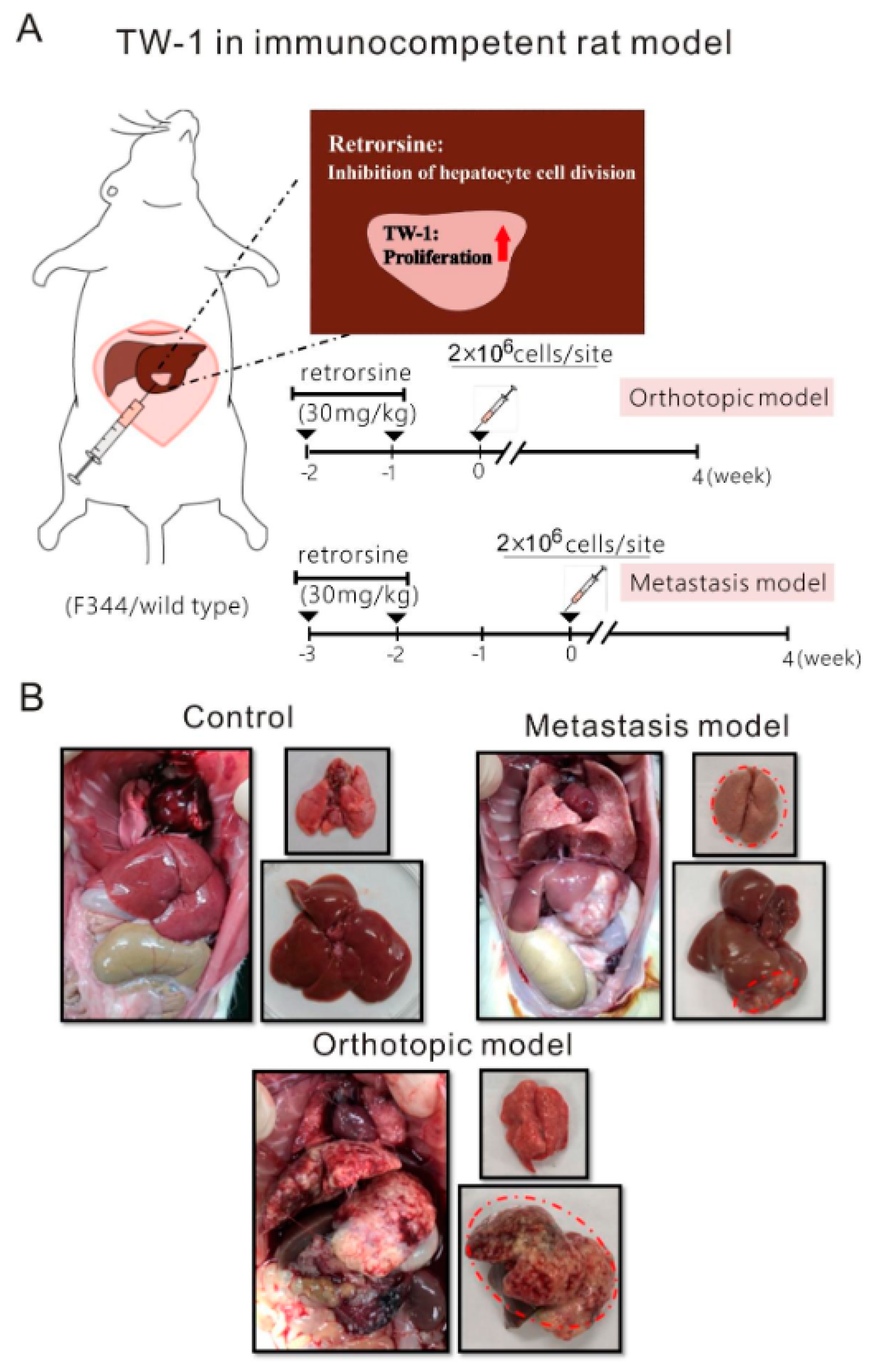 Cancers 12 03721 g005