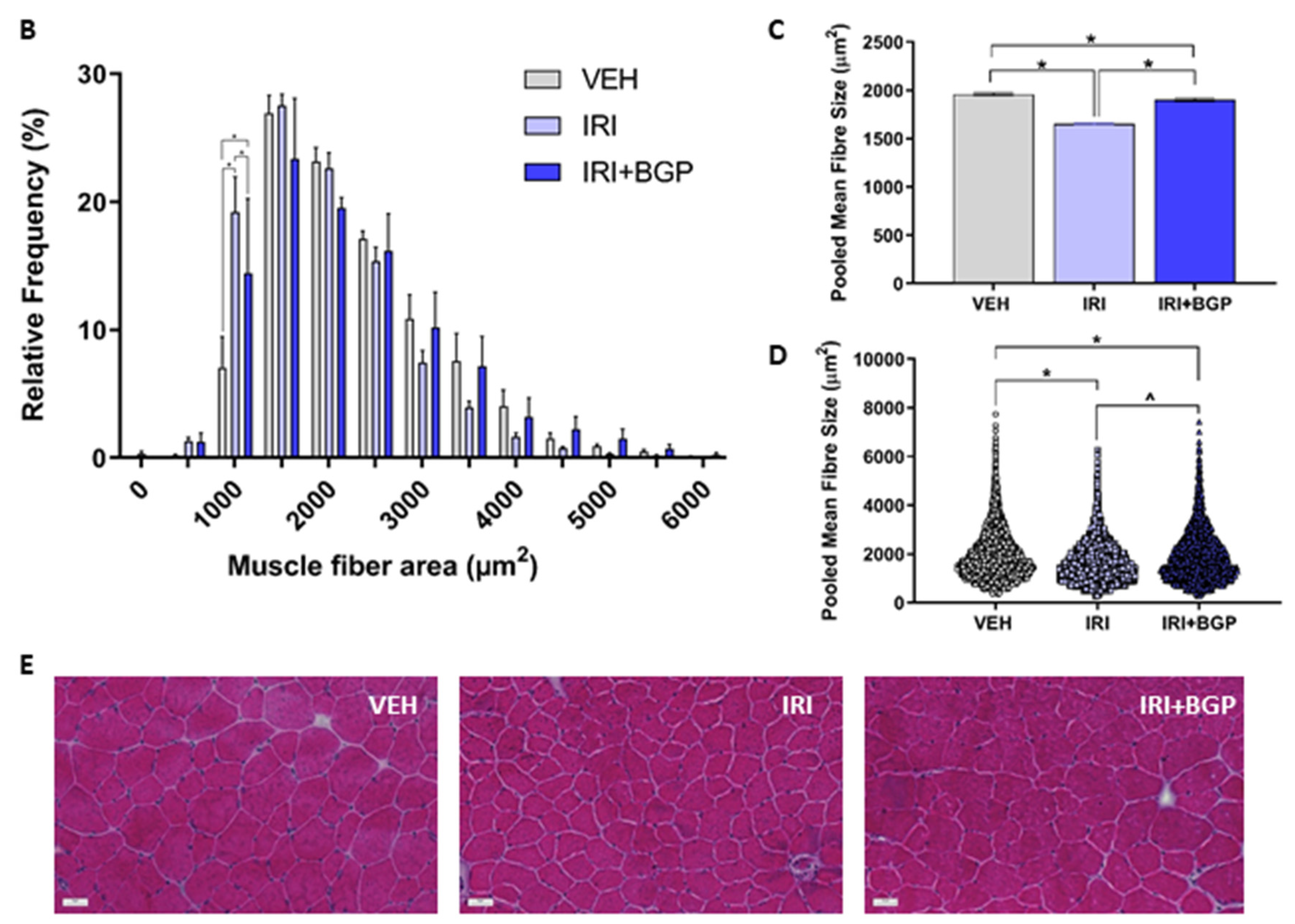 Cancers 12 03810 g002b