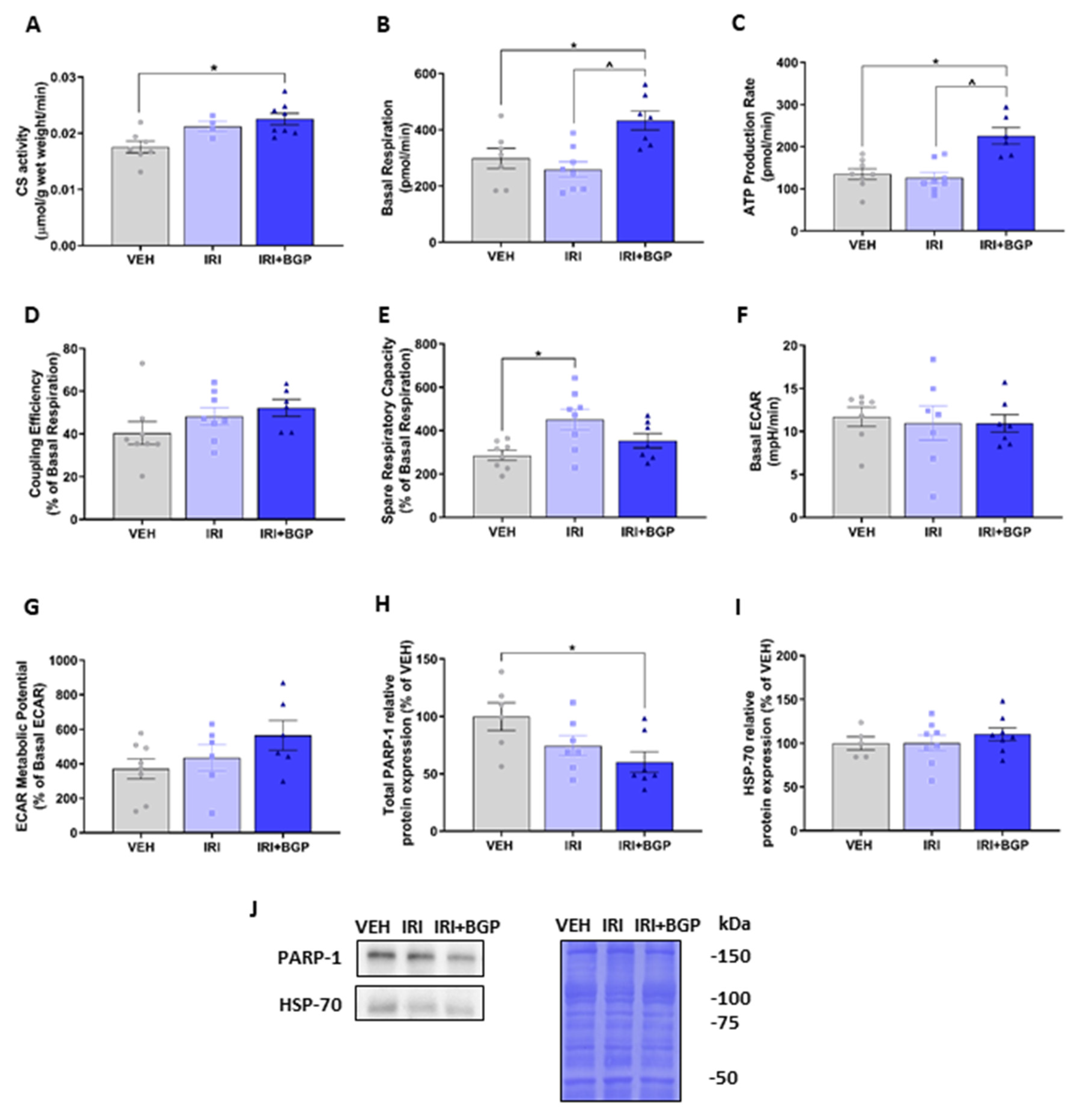 Cancers 12 03810 g006