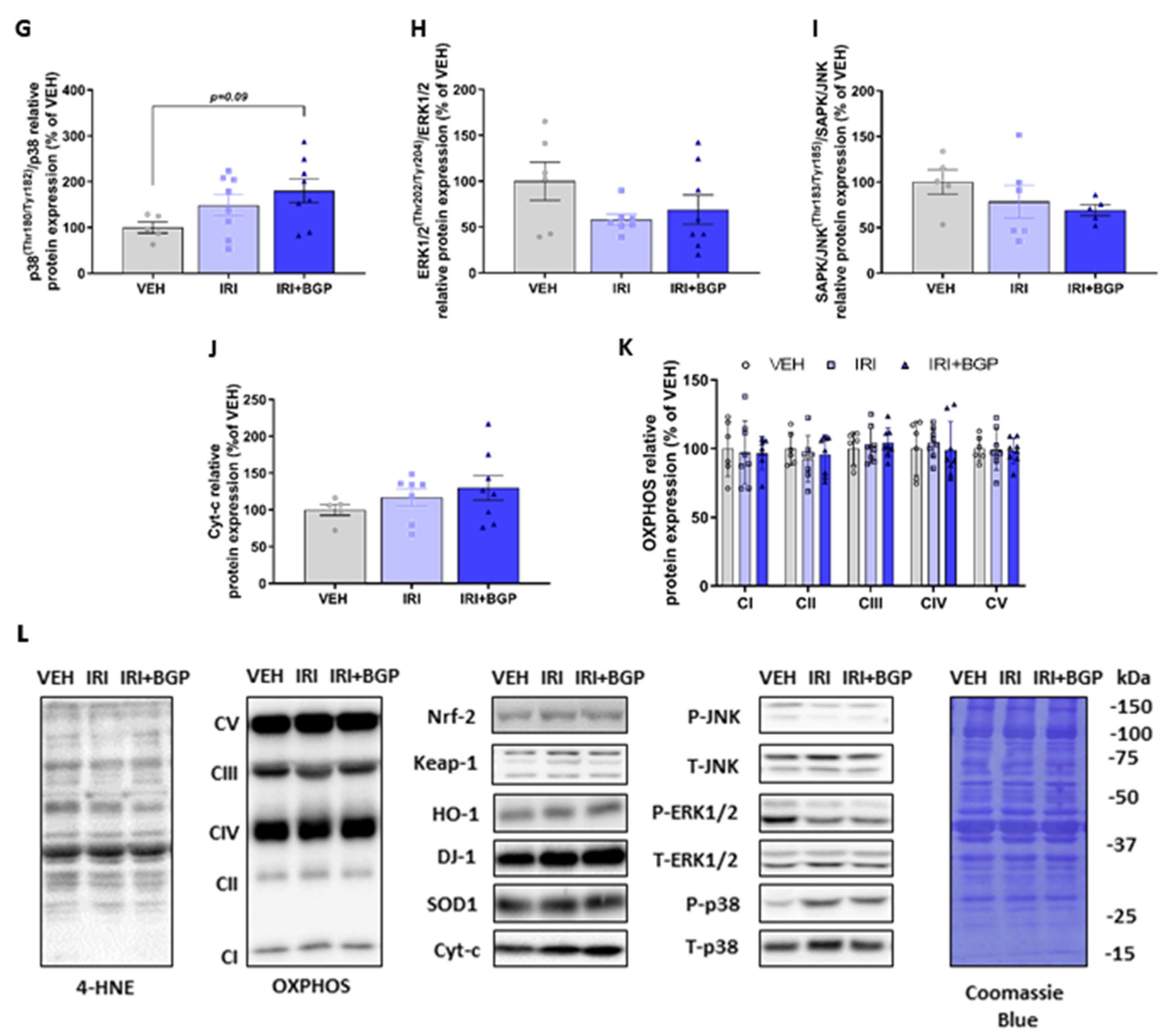 Cancers 12 03810 g007b