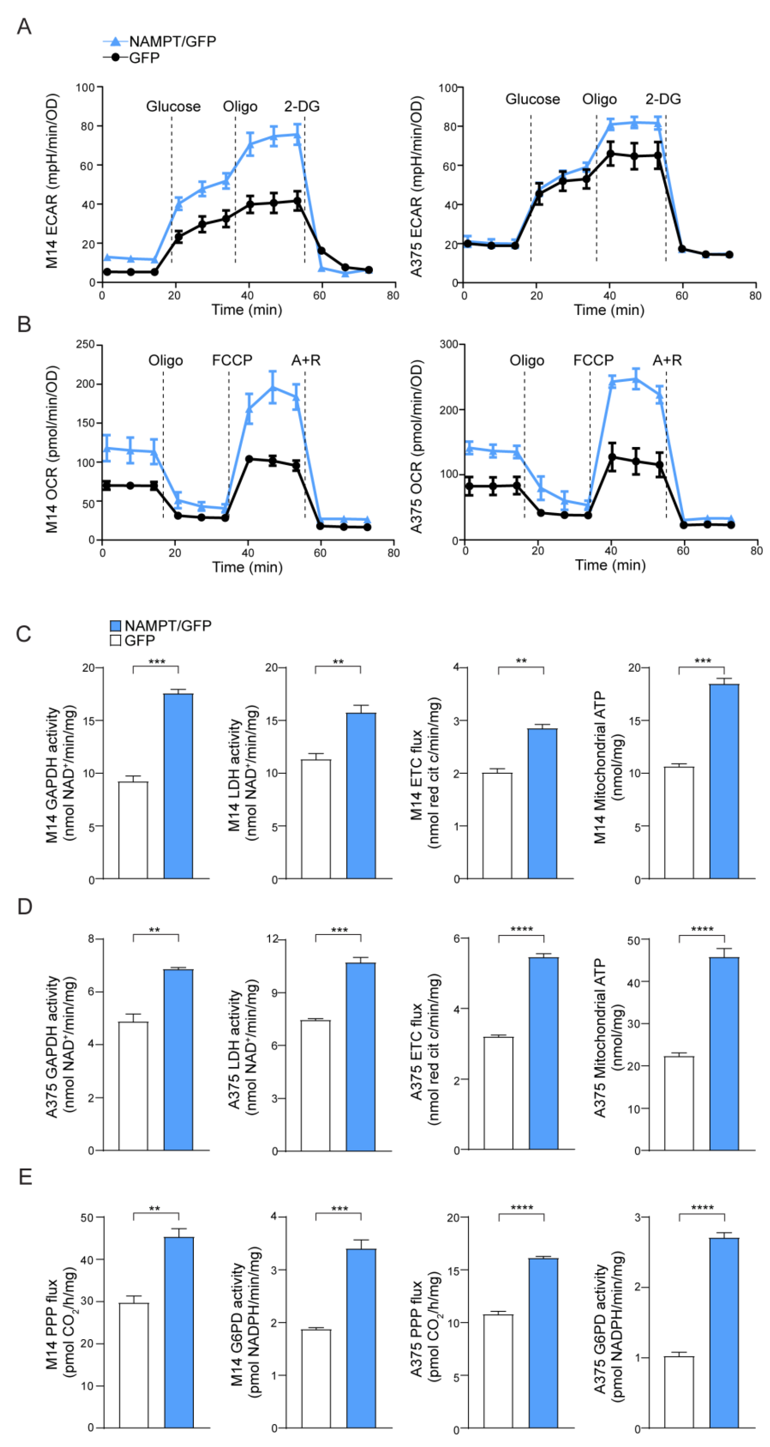 Cancers 12 03855 g001