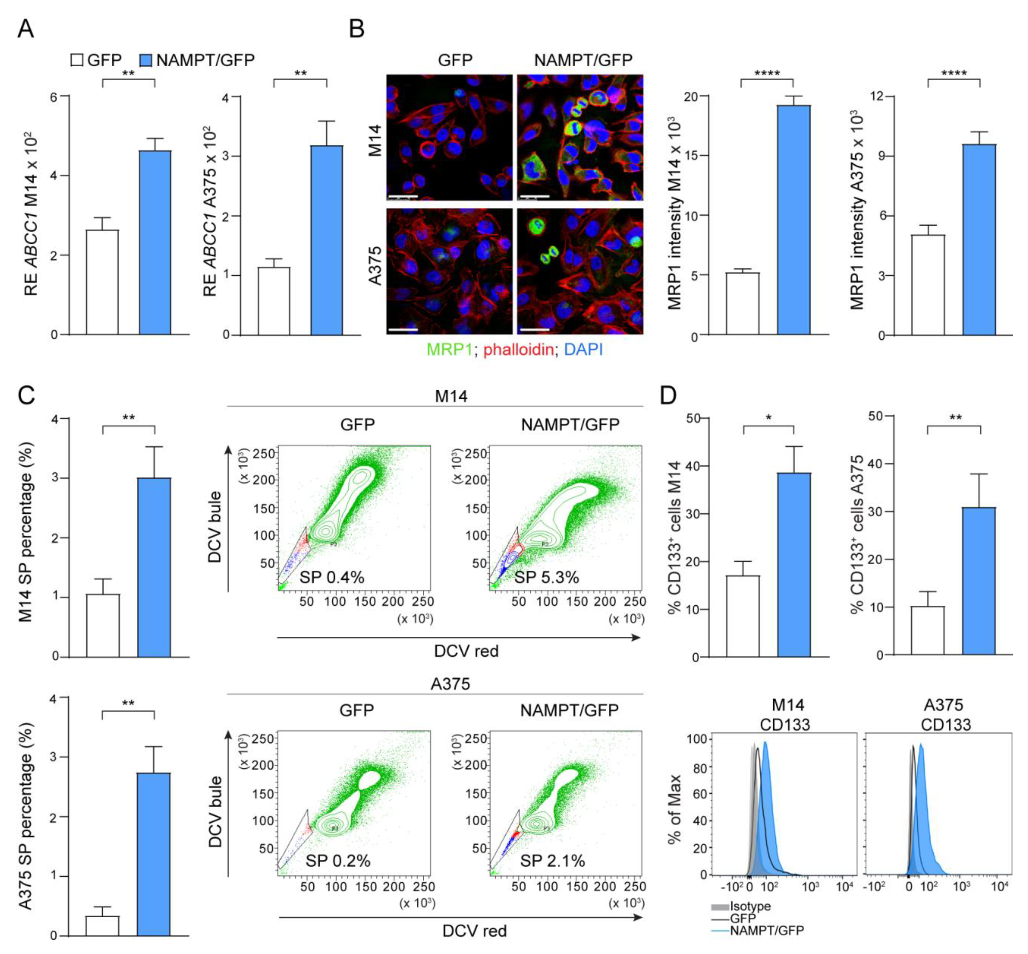 Cancers 12 03855 g004