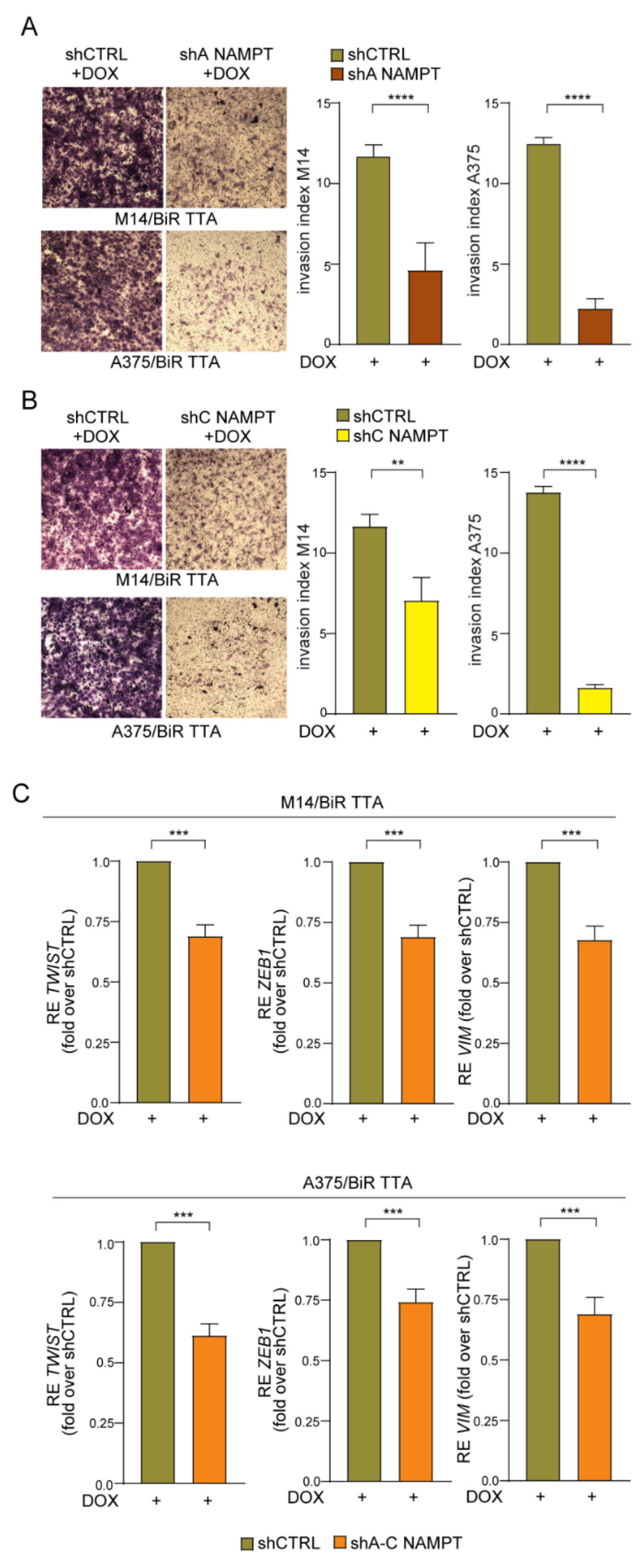 Cancers 12 03855 g007