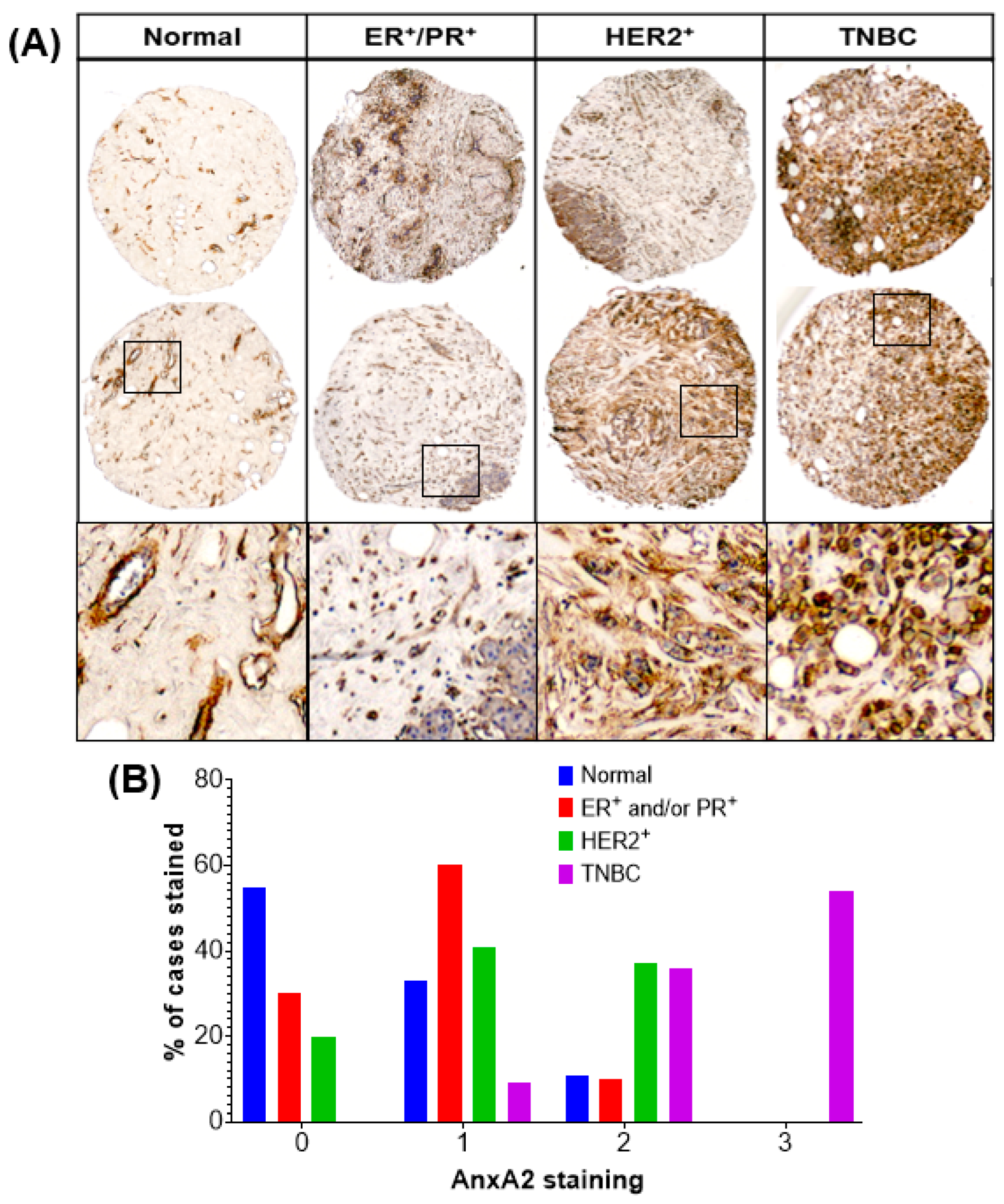 Cancers 13 00002 g001