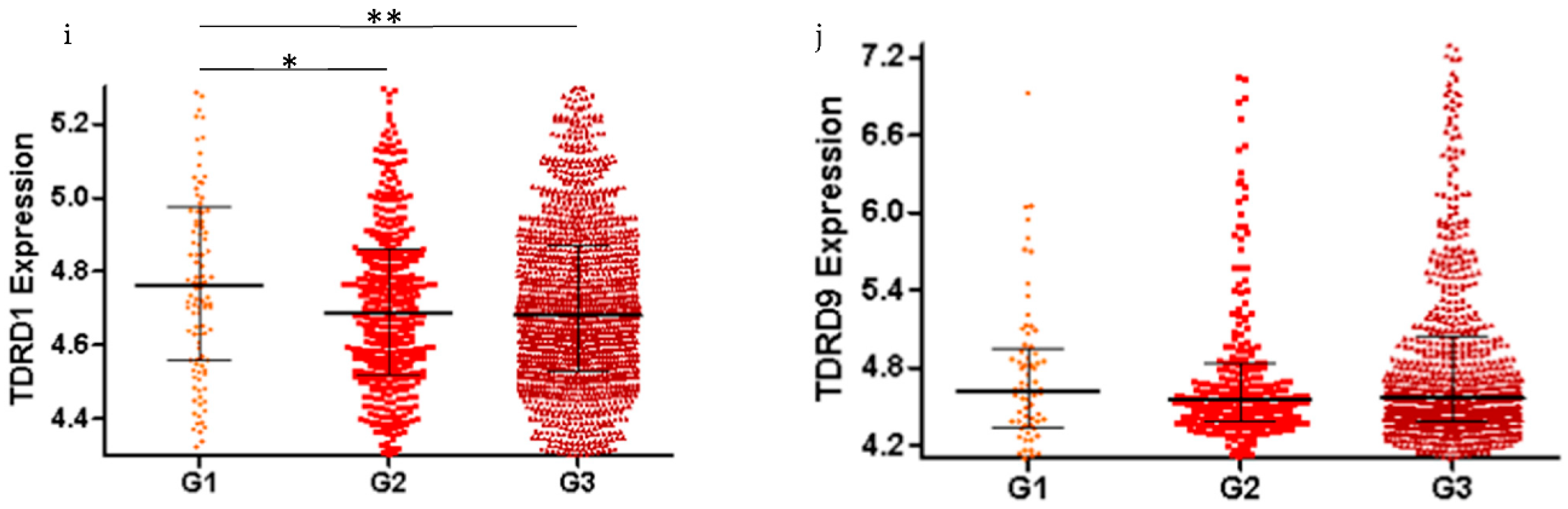 Cancers 13 00004 g003b