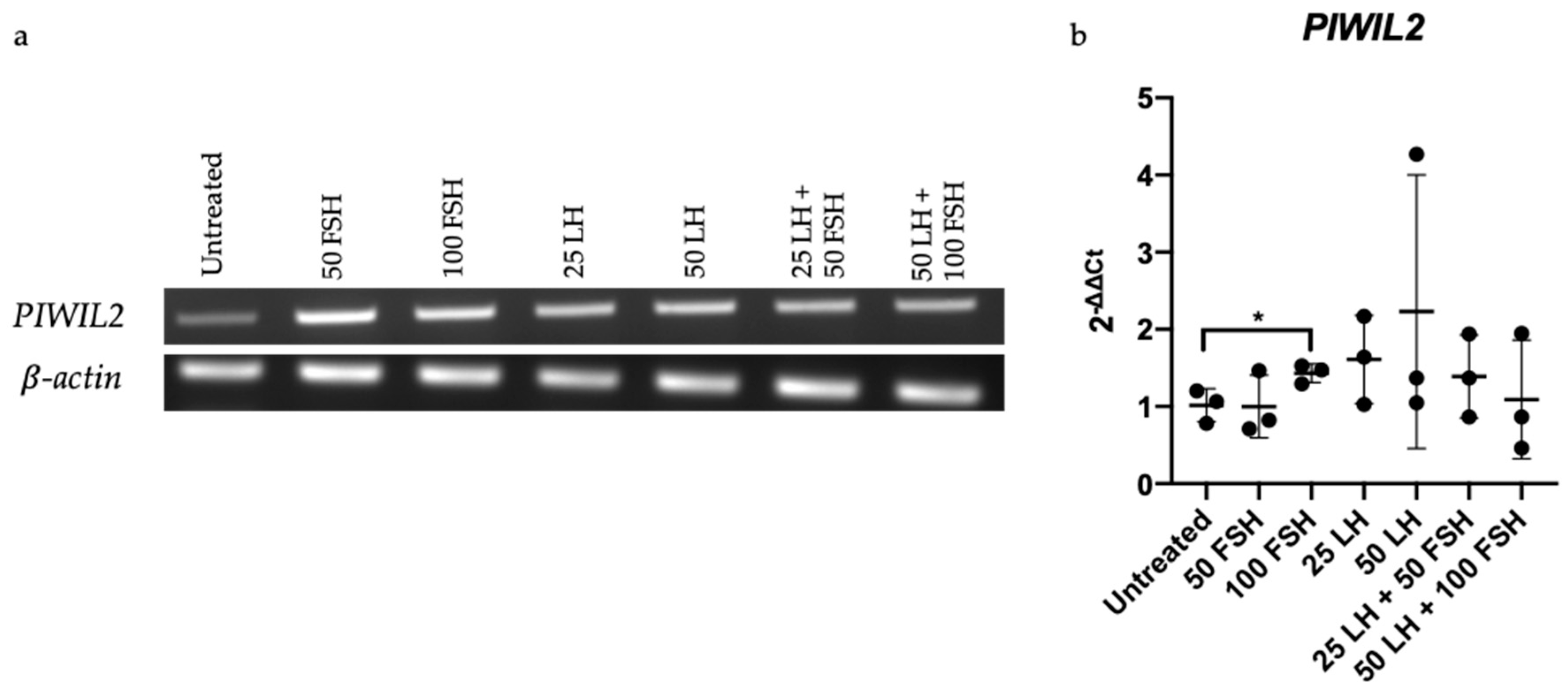 Cancers 13 00004 g005