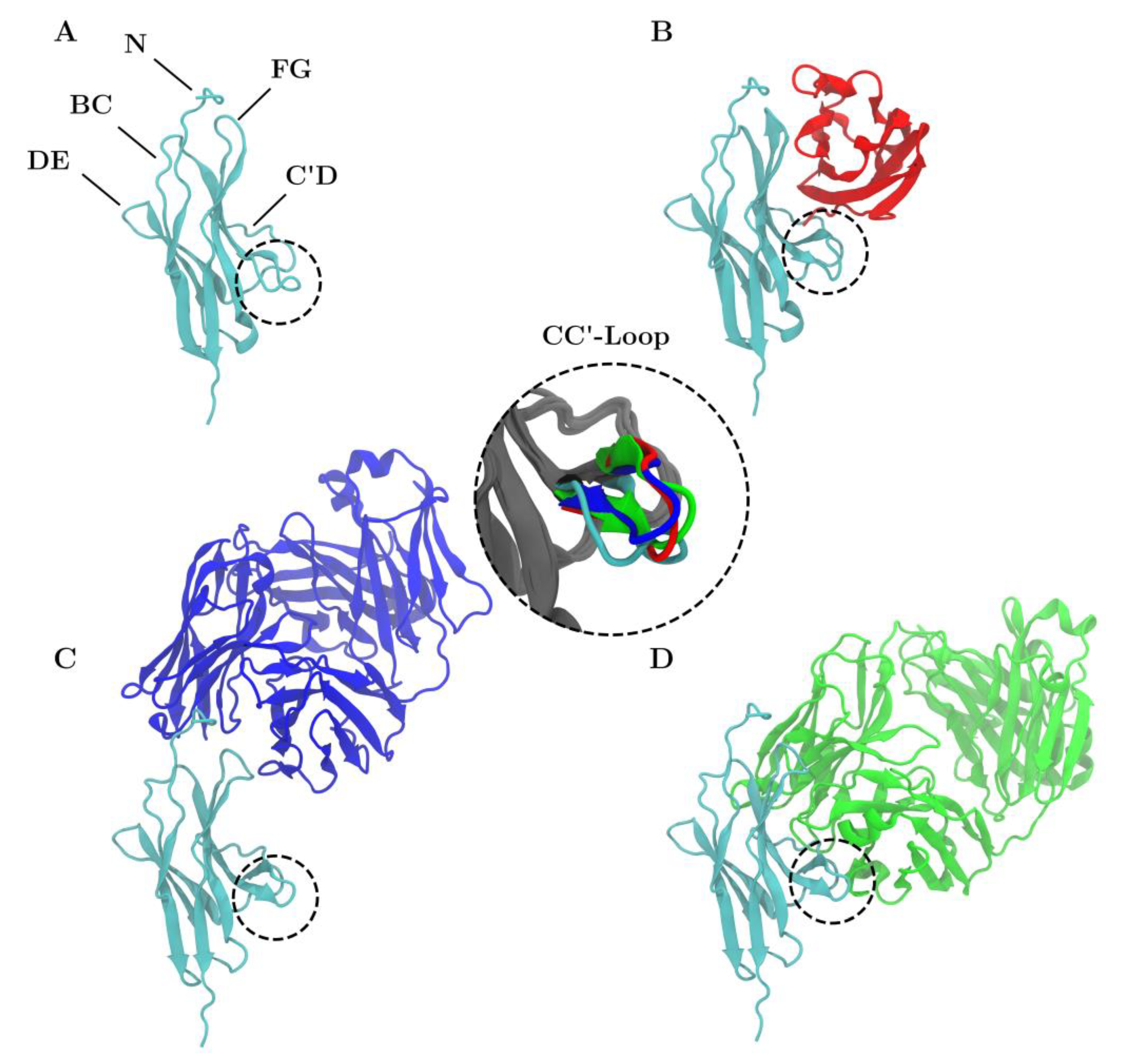 Cancers 13 00005 g001
