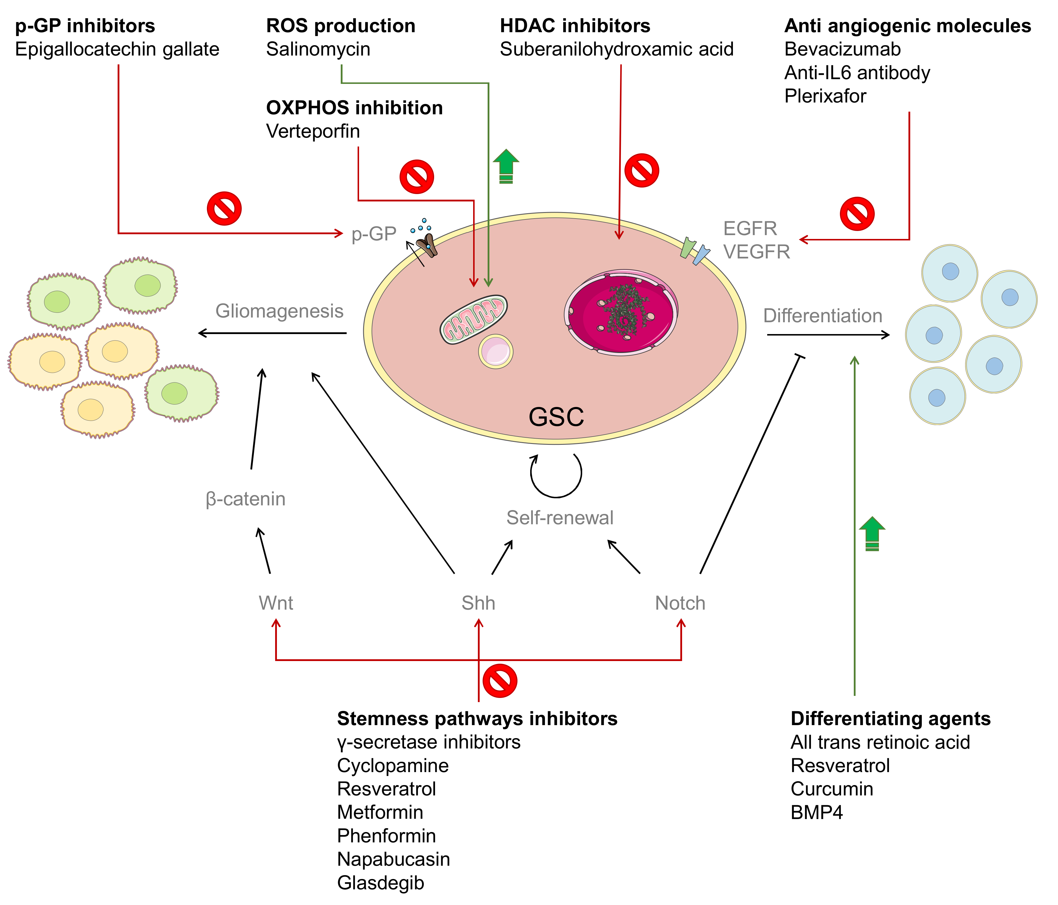 Cancers 13 00009 g002