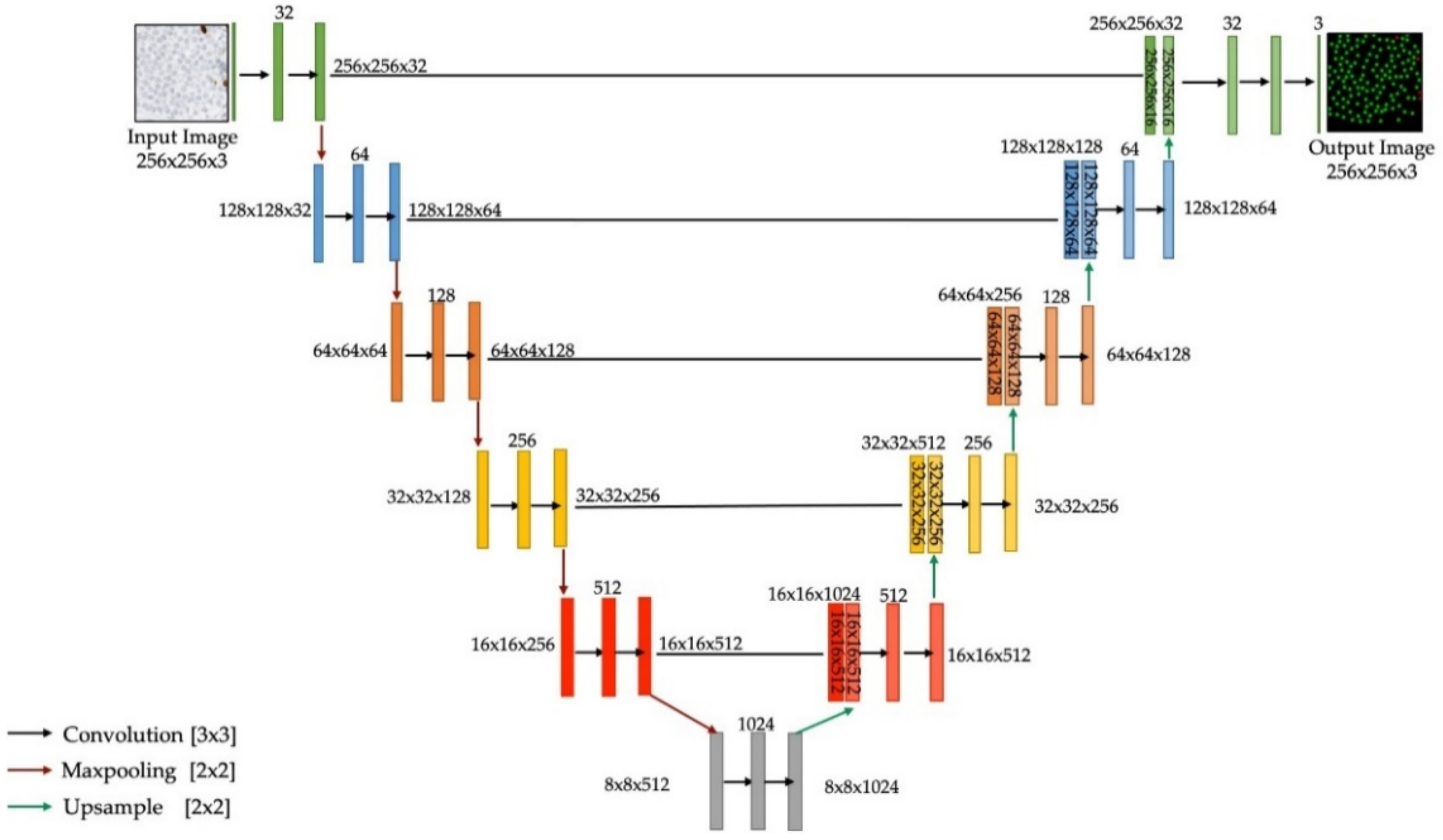 Cancers 13 00011 g005 Cancers 13 00011 g005