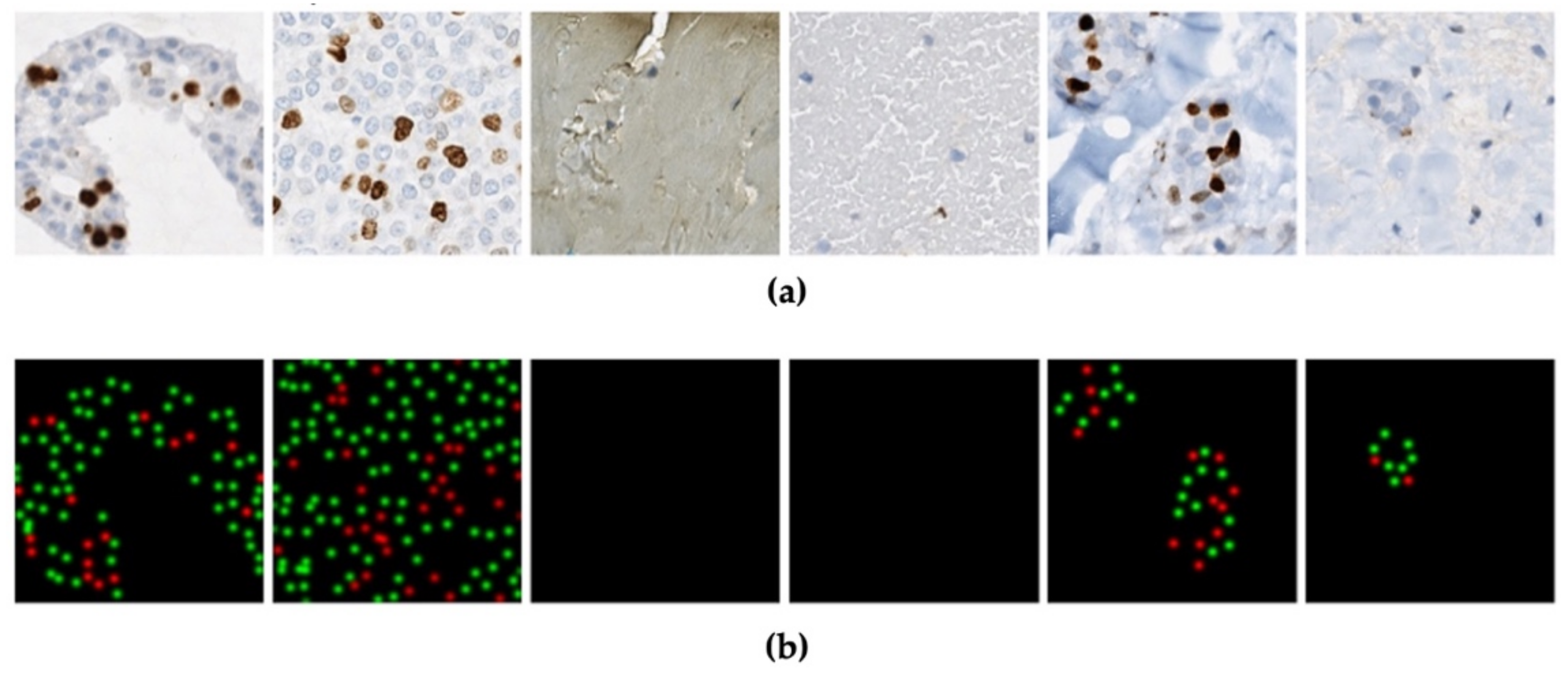 Cancers 13 00011 g006 Cancers 13 00011 g006