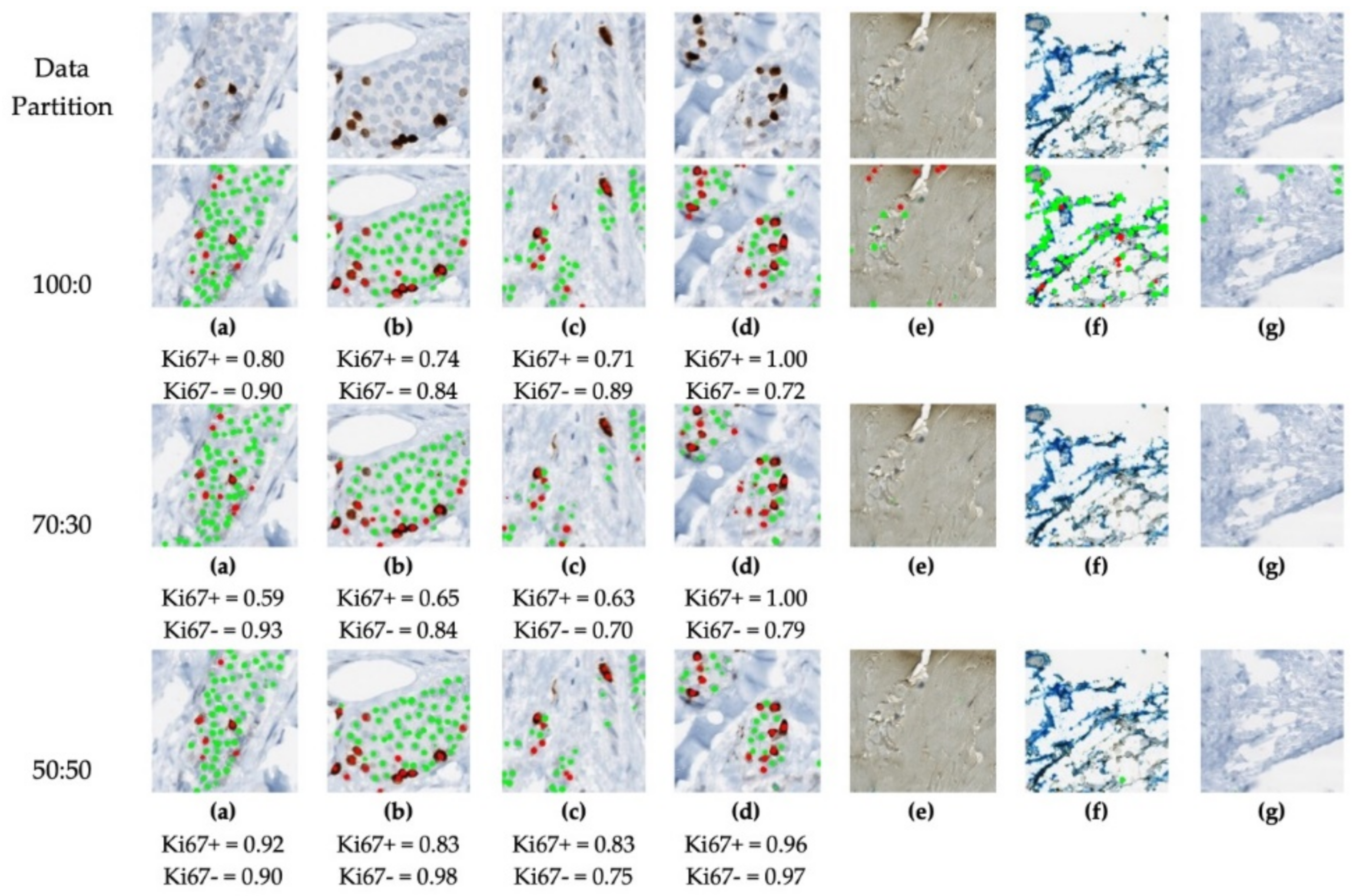 Cancers 13 00011 g011 Cancers 13 00011 g011