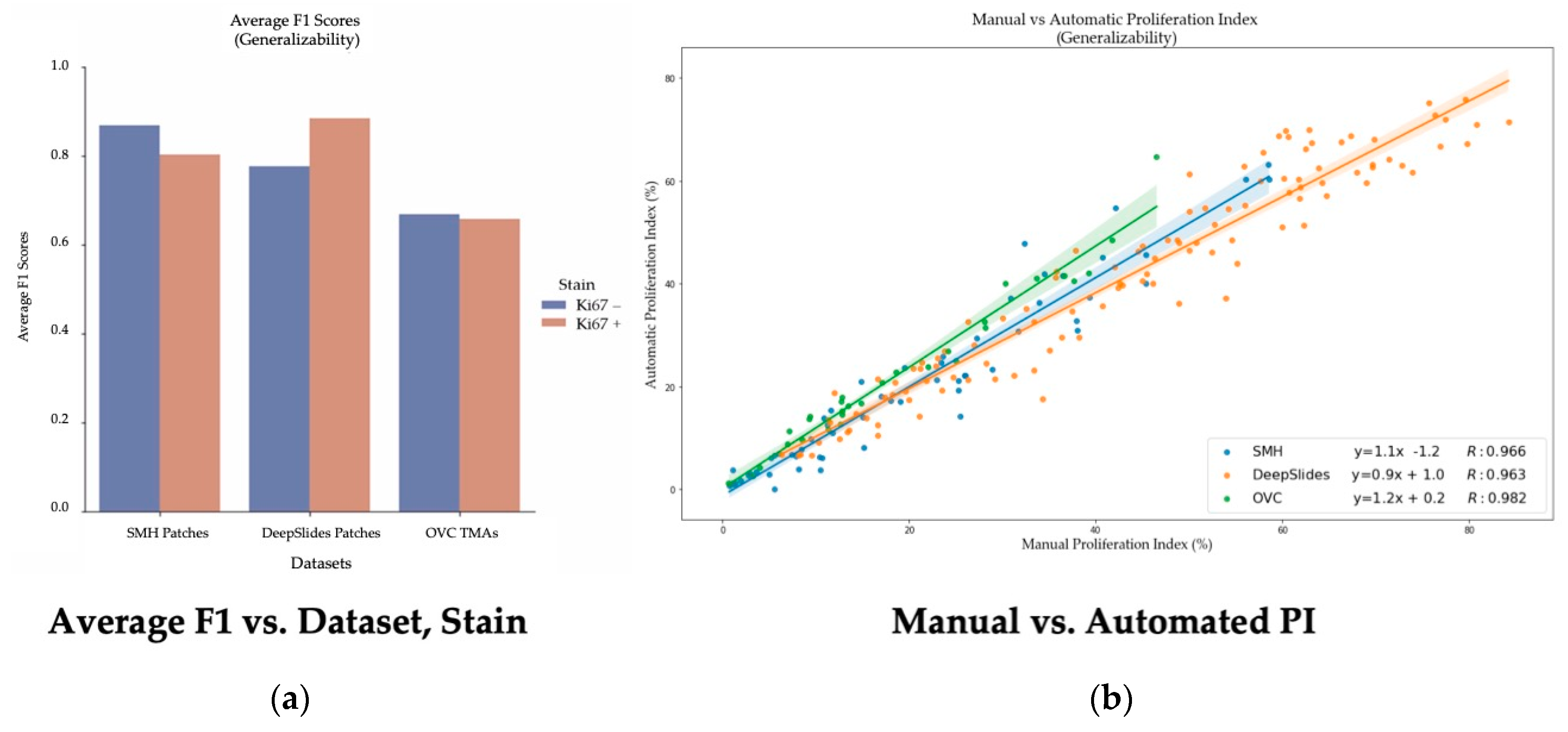Cancers 13 00011 g015 Cancers 13 00011 g015