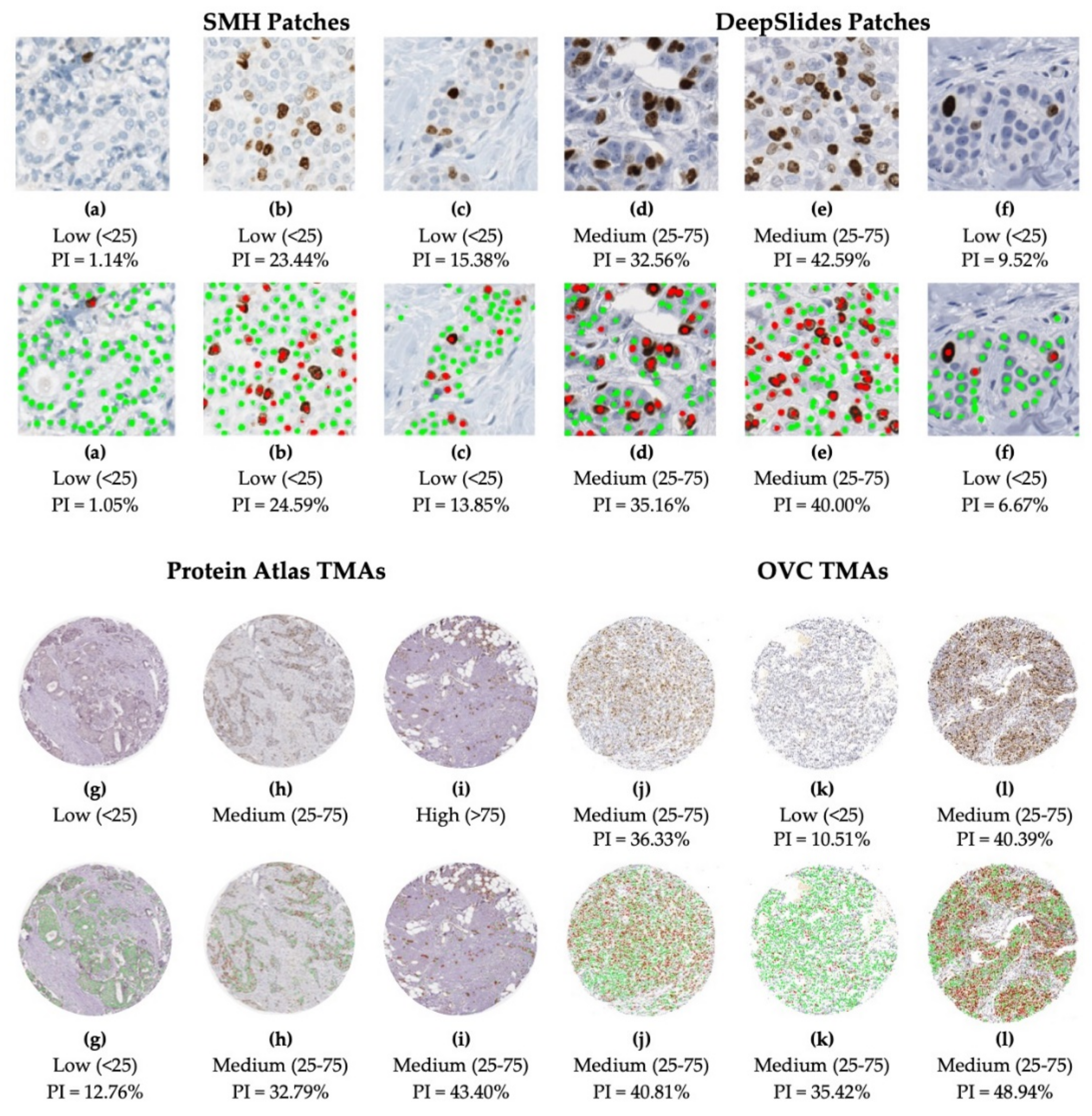 Cancers 13 00011 g016 Cancers 13 00011 g016