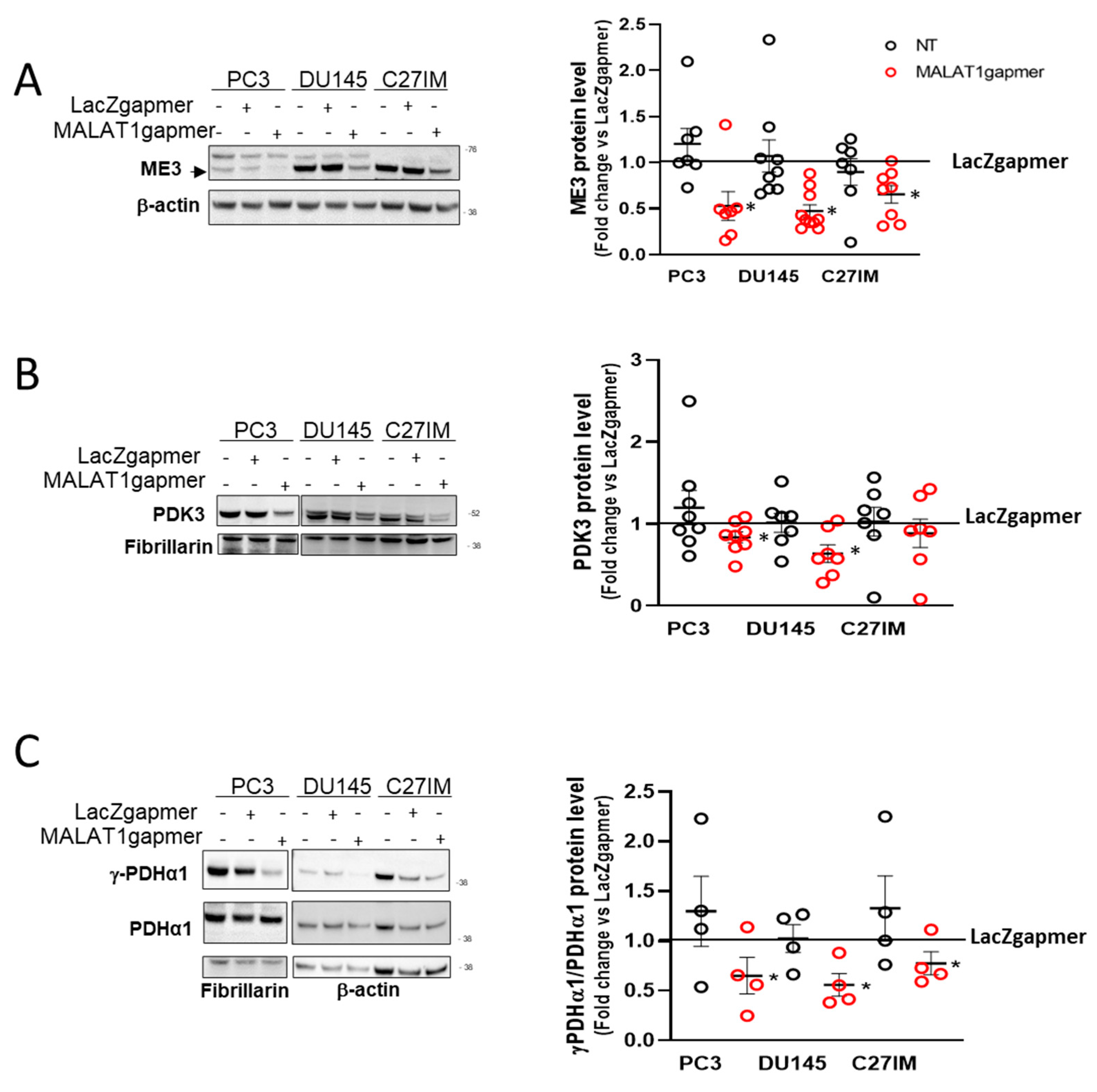 Cancers 13 00015 g005