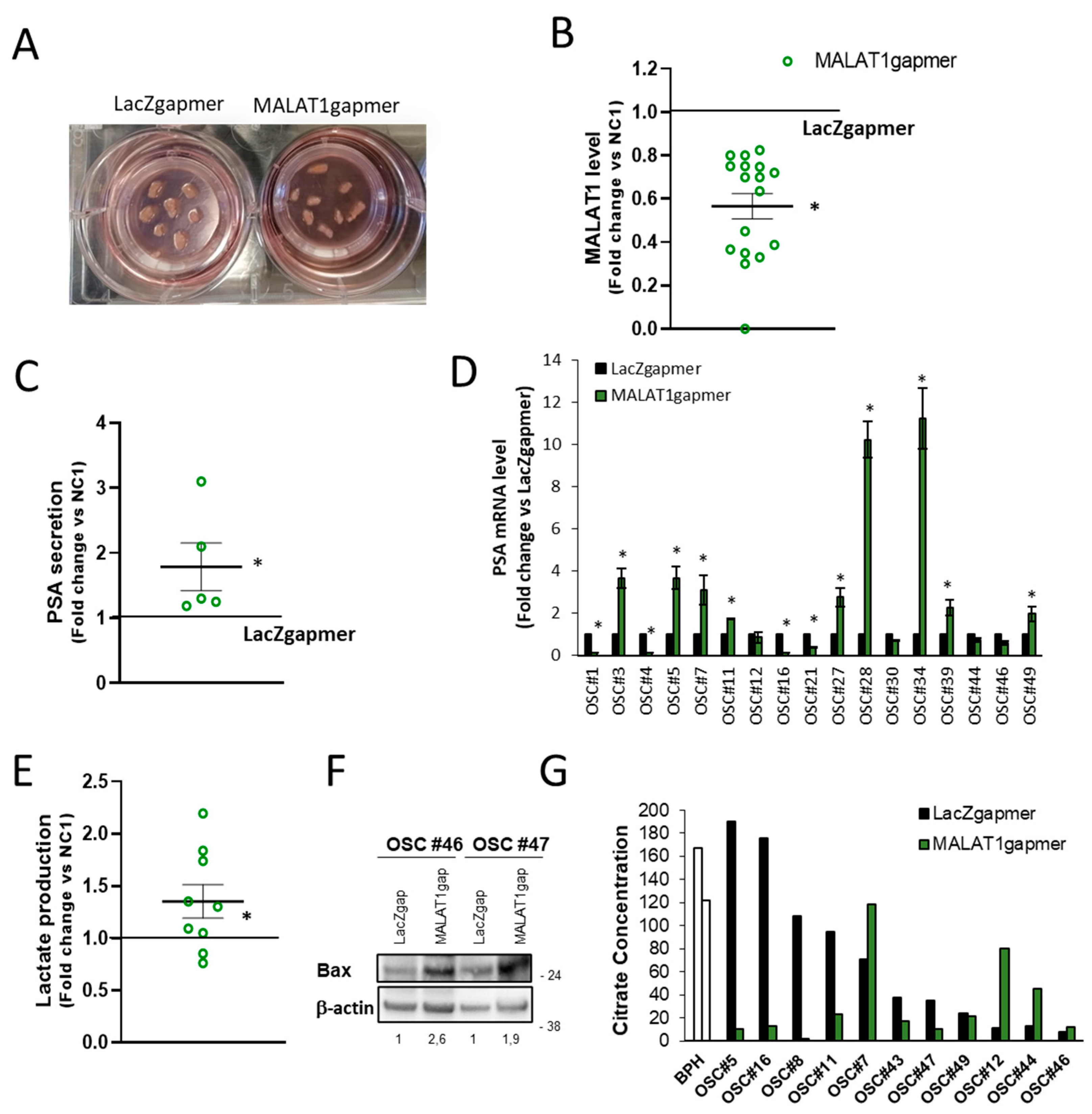 Cancers 13 00015 g008