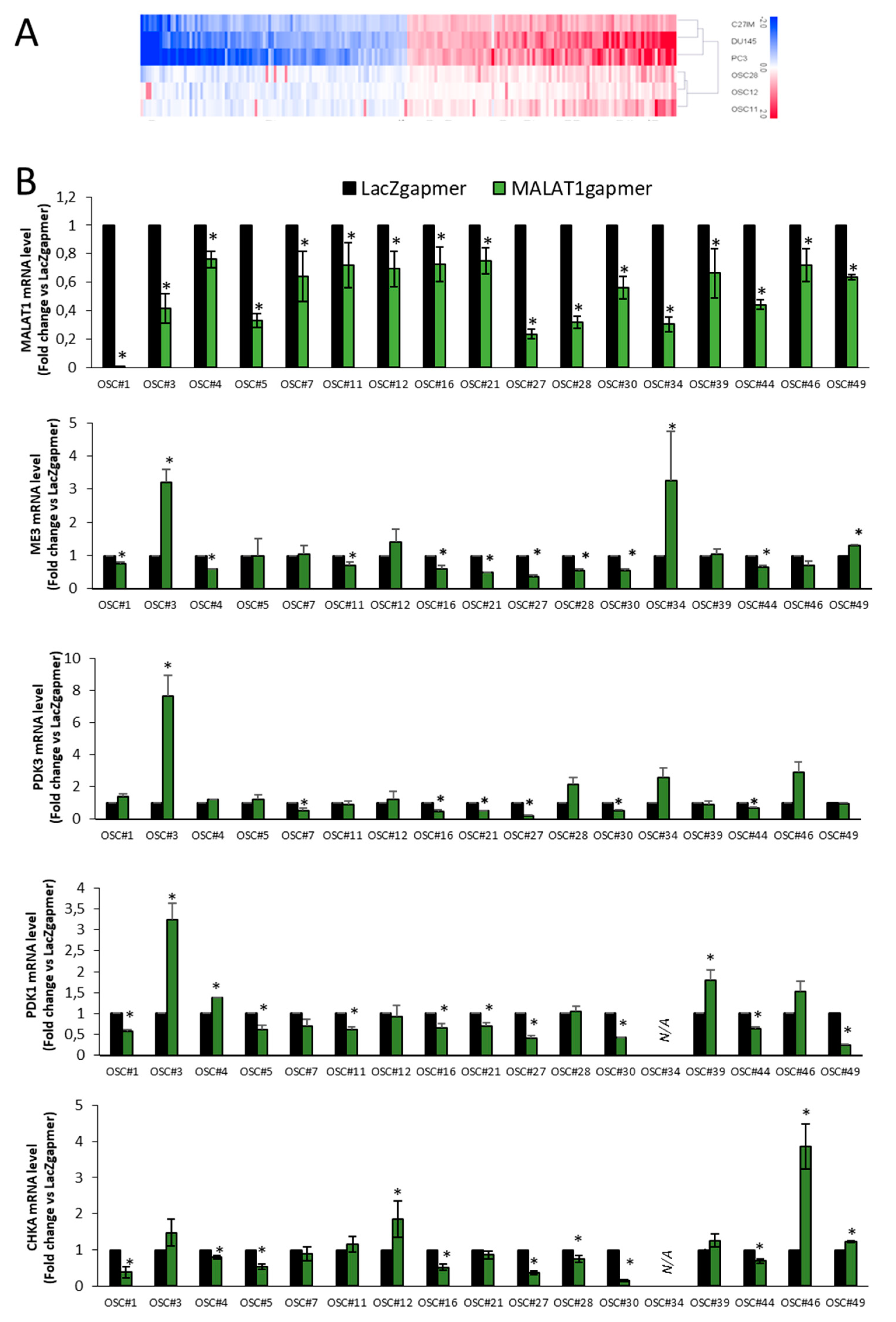 Cancers 13 00015 g009