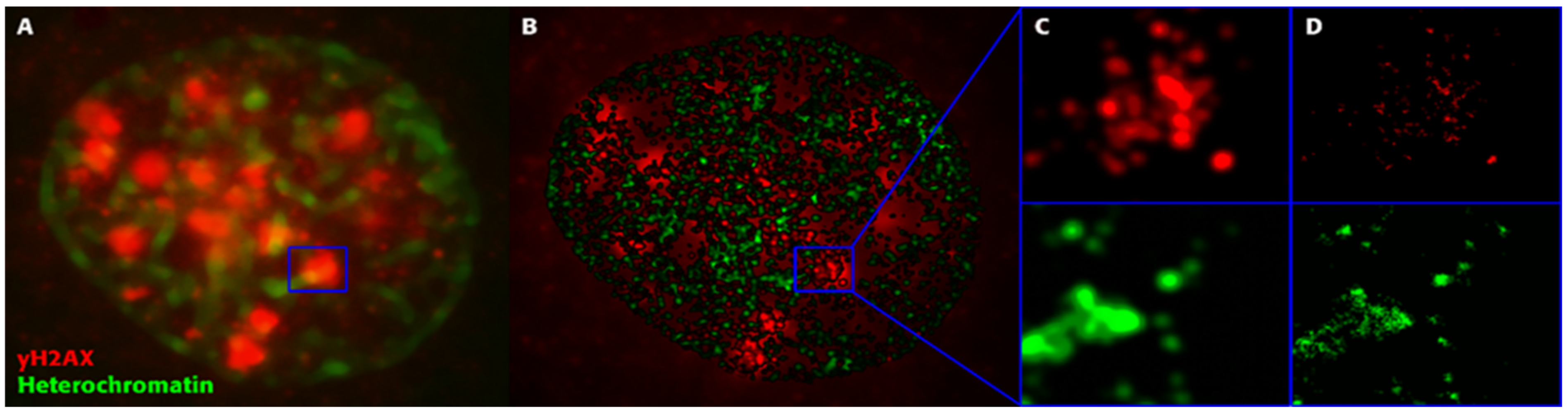 Cancers 13 00018 g006