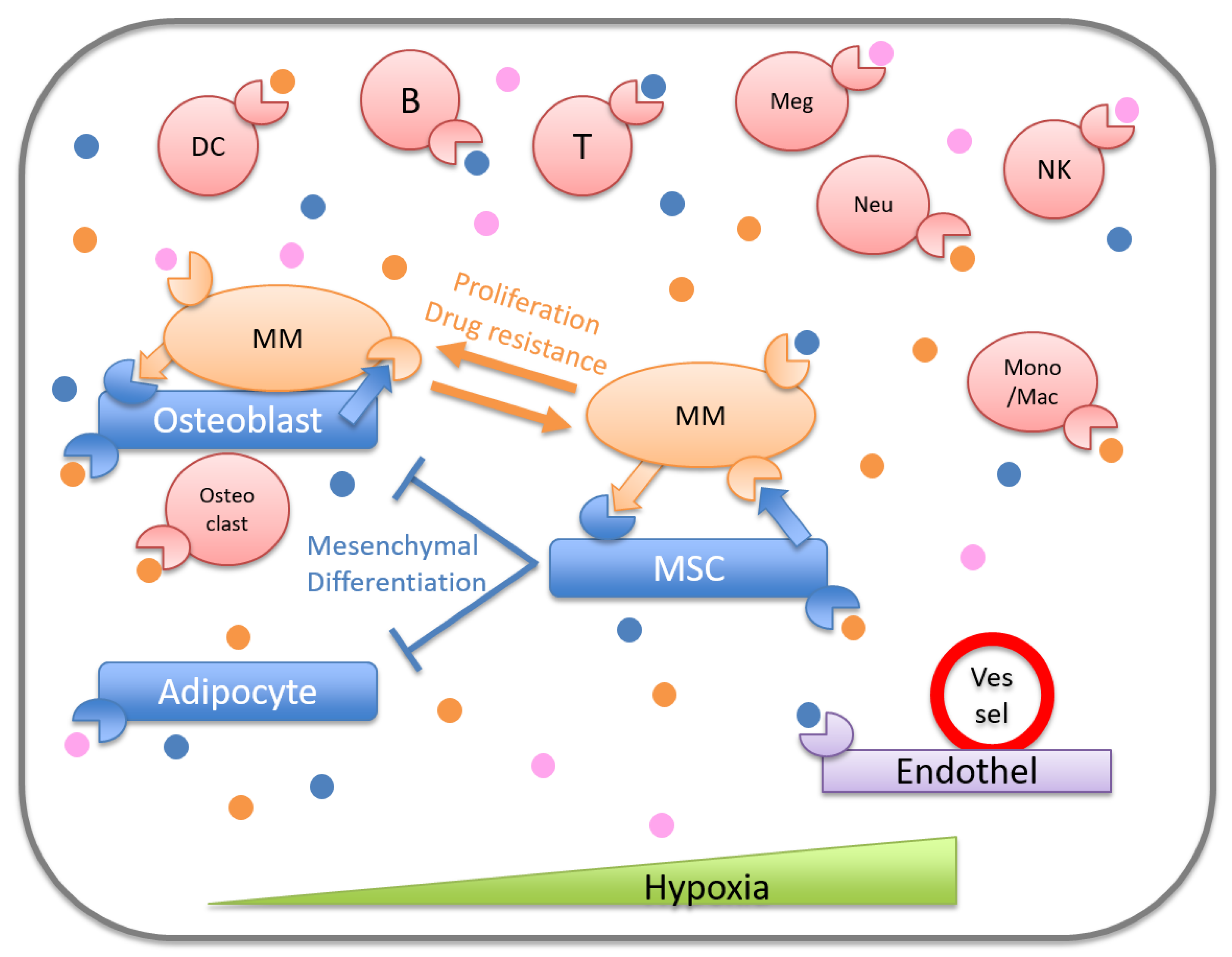Cancers 13 00025 g001