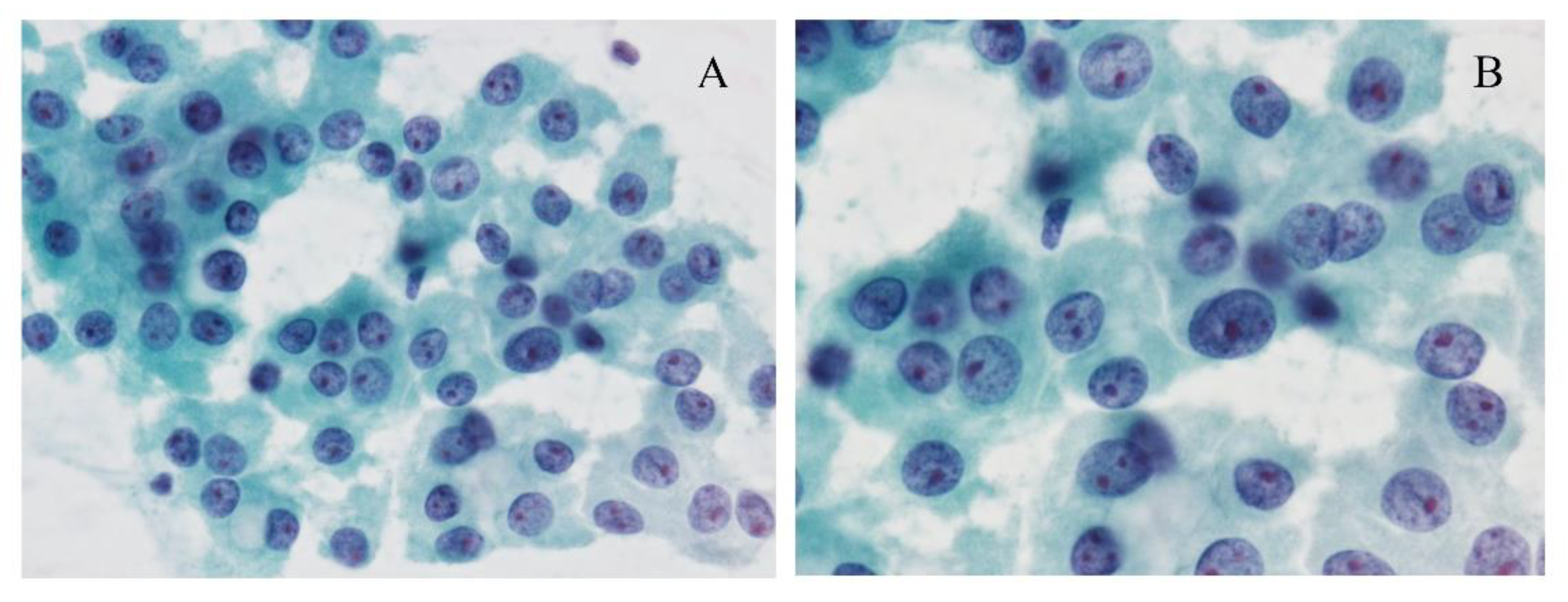 Cancers 13 00026 g001