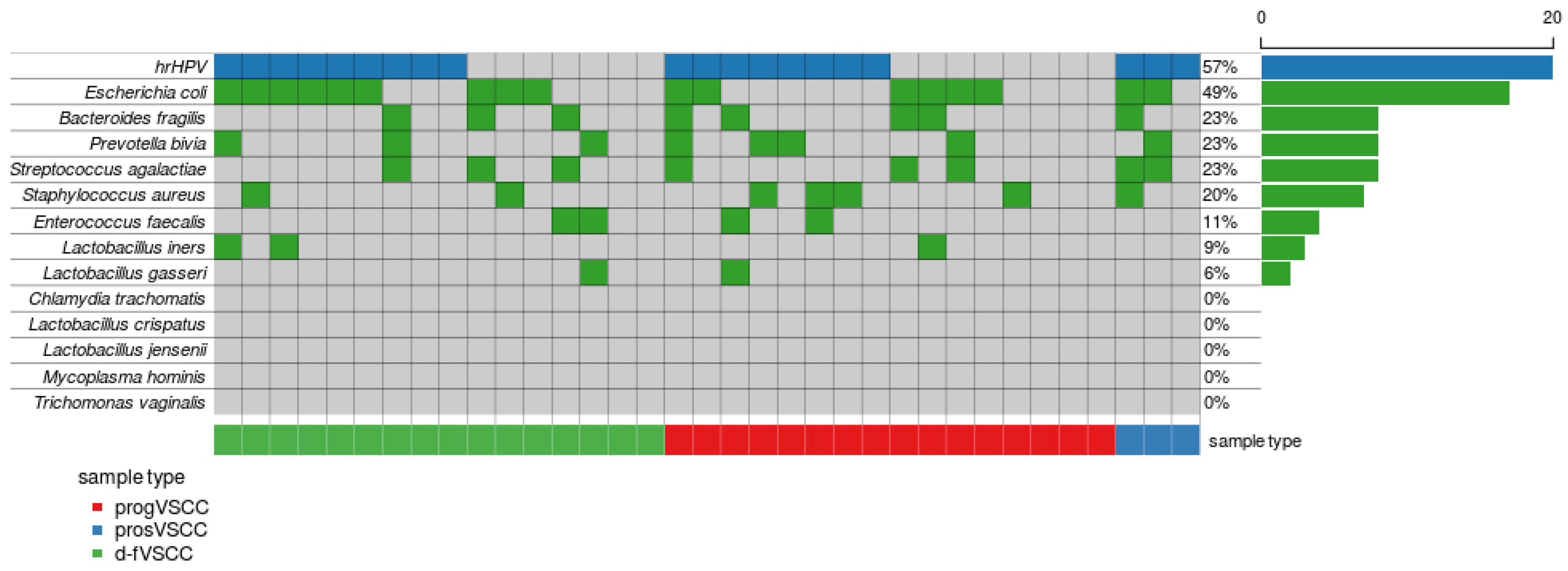 Cancers 13 00027 g005