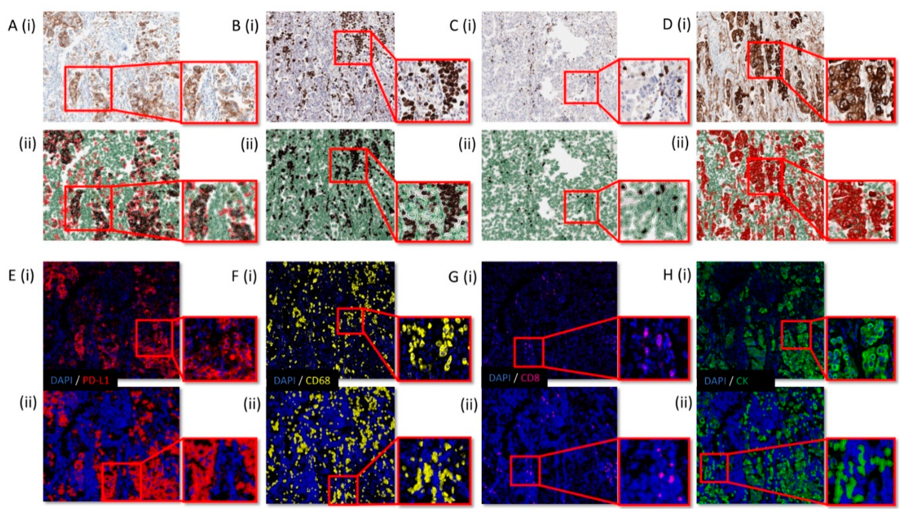 Cancers 13 00029 g001
